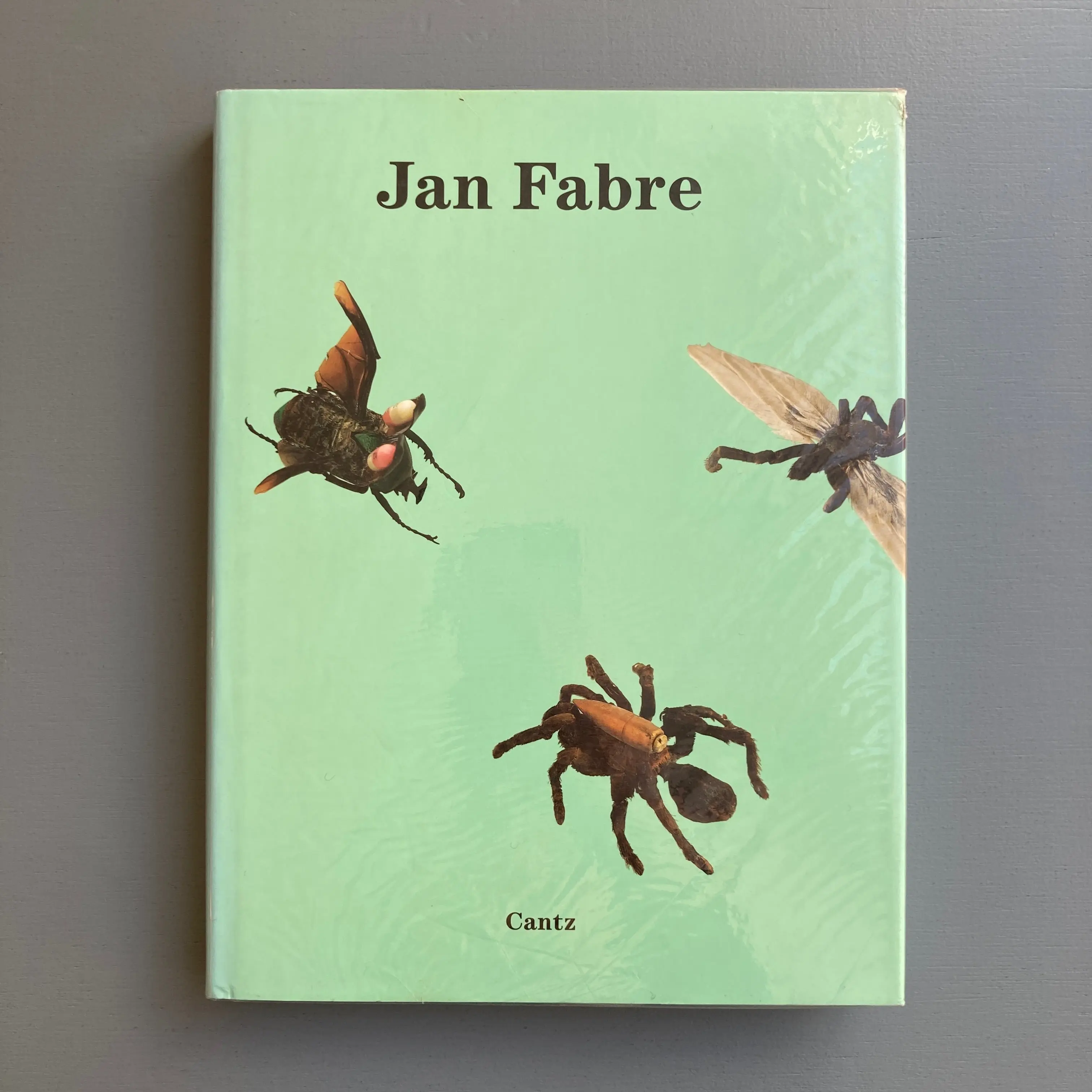 Jan Fabre - Der Leimrutenmann / The Lime Twig Man - Cantz 1995