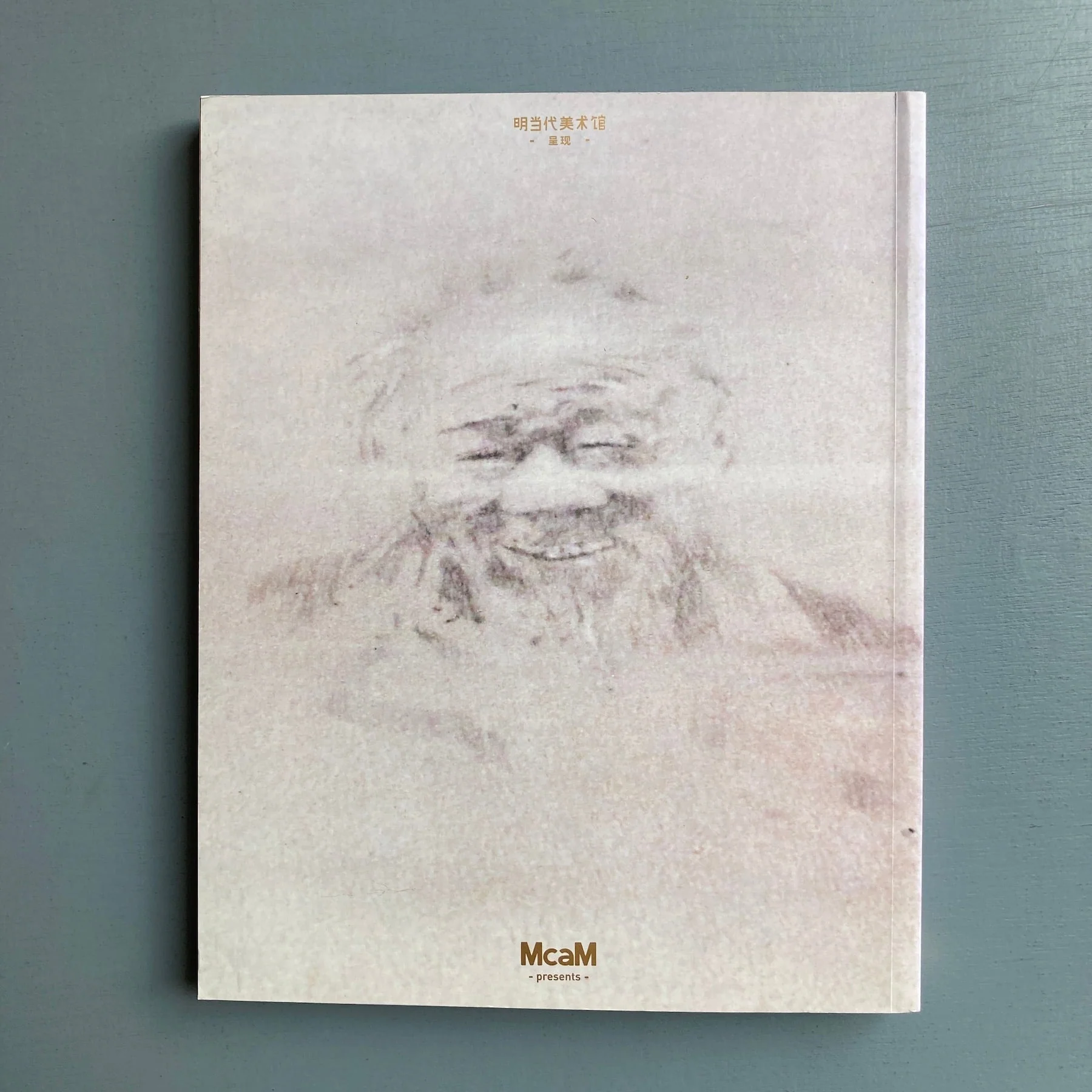 Jan Lauwers - Silent Stories - McaM 2016 - Image 10