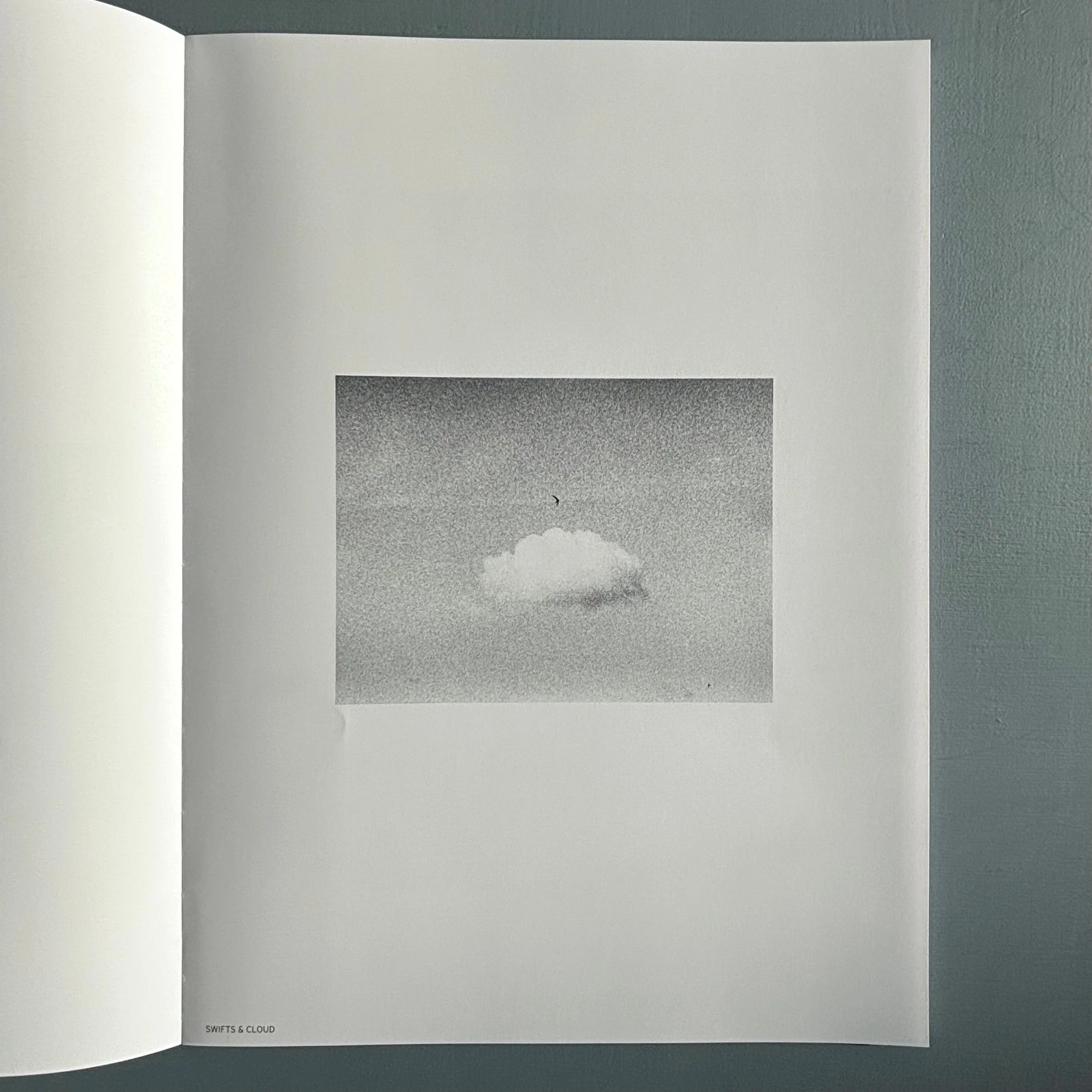 Jochen Lempert - Ankunft der Mauersegler: 26.4.2024 - BQ 2024 - Image 12