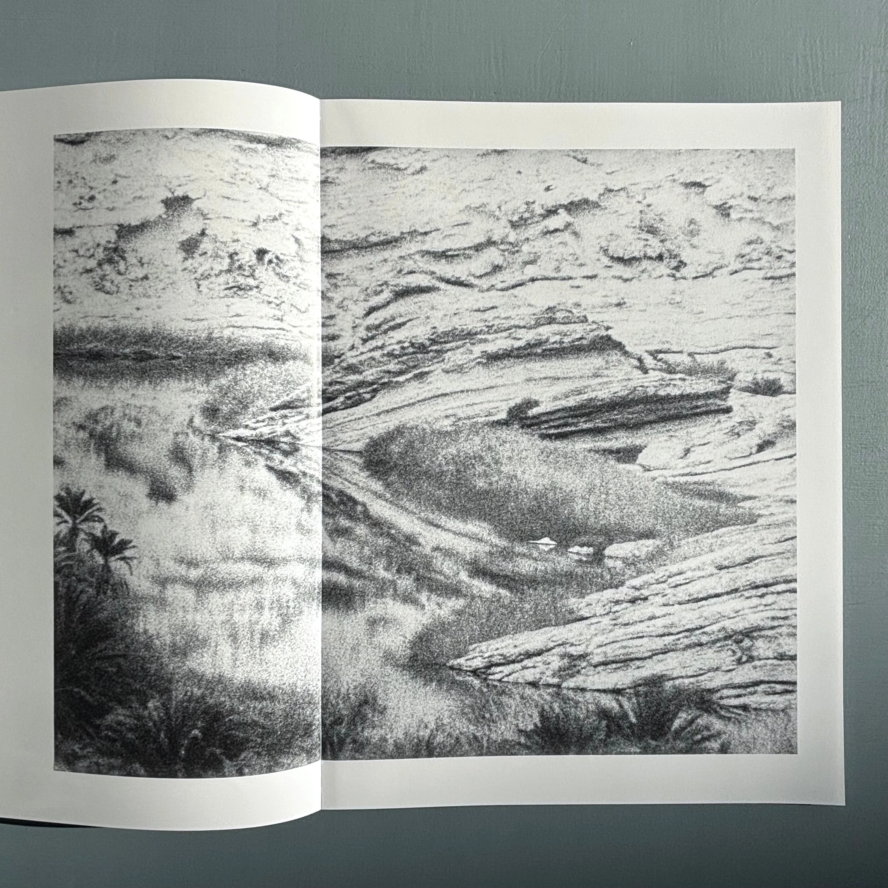 Jochen Lempert - Ankunft der Mauersegler: 26.4.2024 - BQ 2024 - Image 14