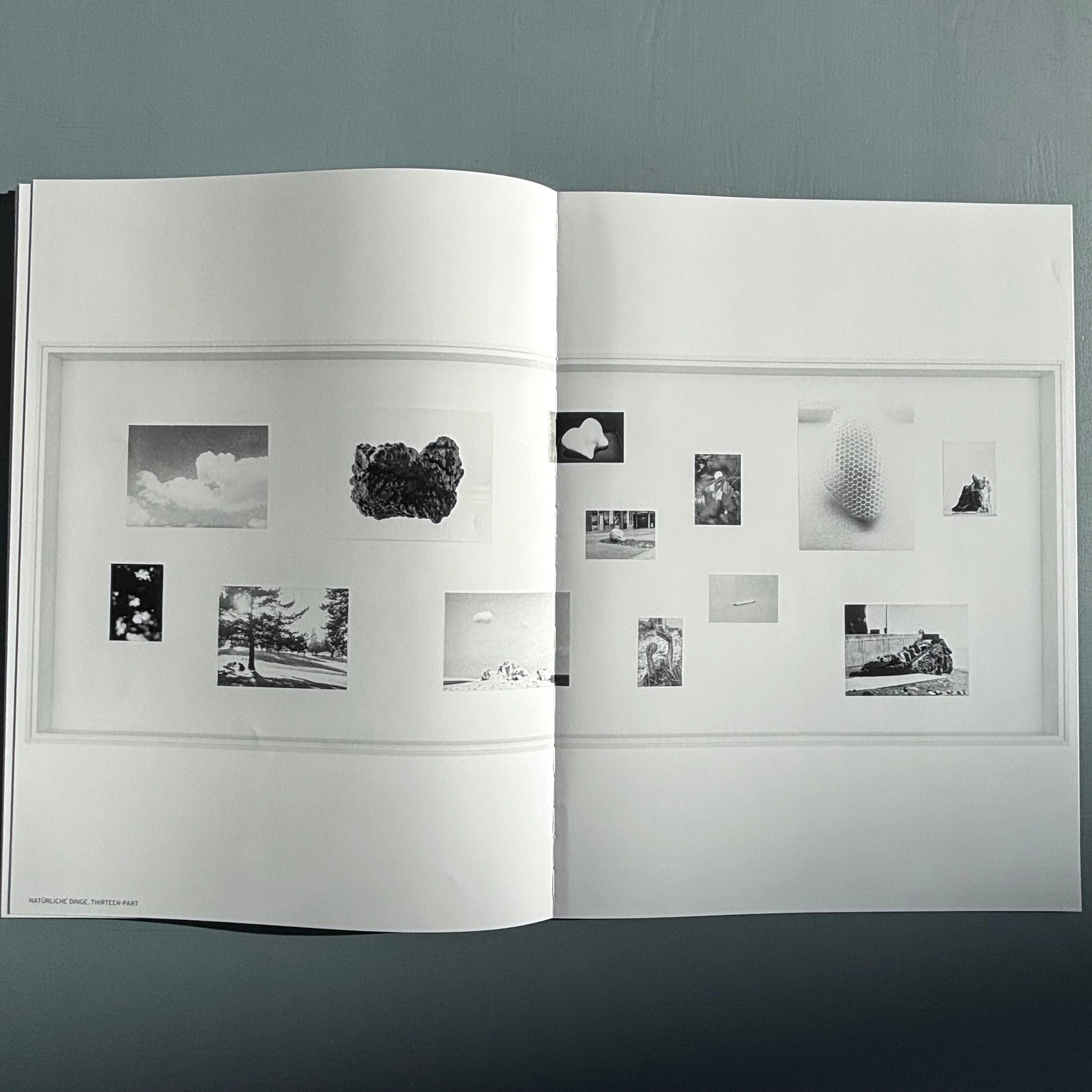 Jochen Lempert - Ankunft der Mauersegler: 26.4.2024 - BQ 2024 - Image 16