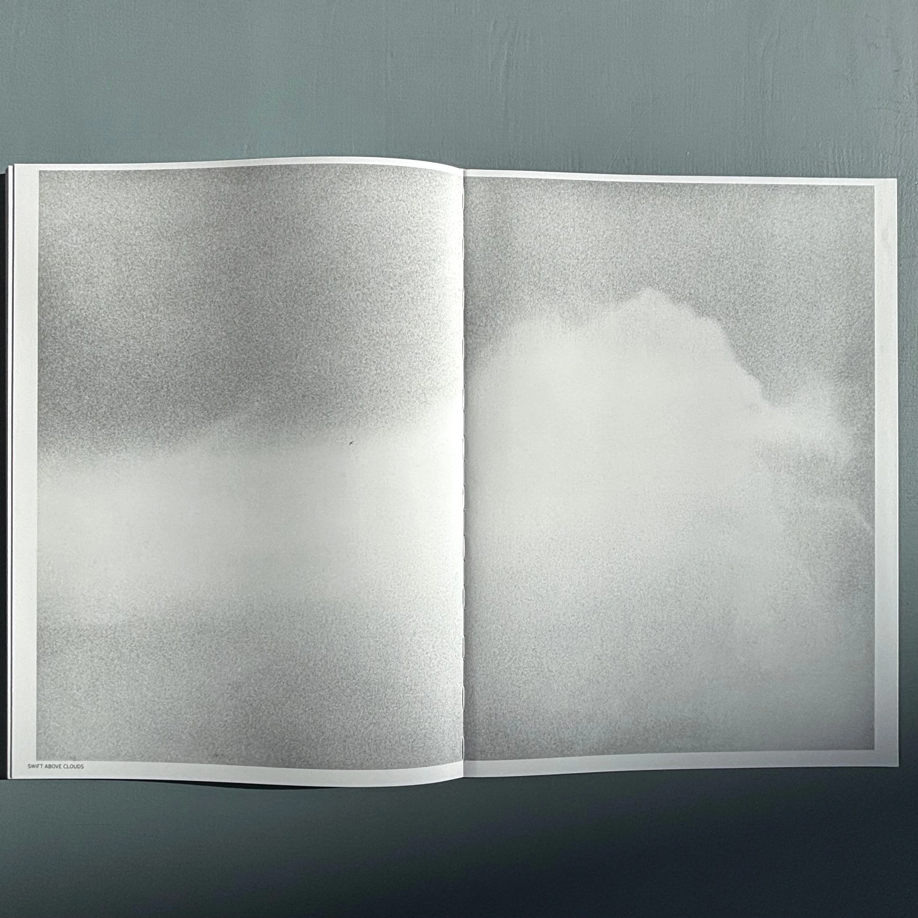 Jochen Lempert - Ankunft der Mauersegler: 26.4.2024 - BQ 2024 - Image 18