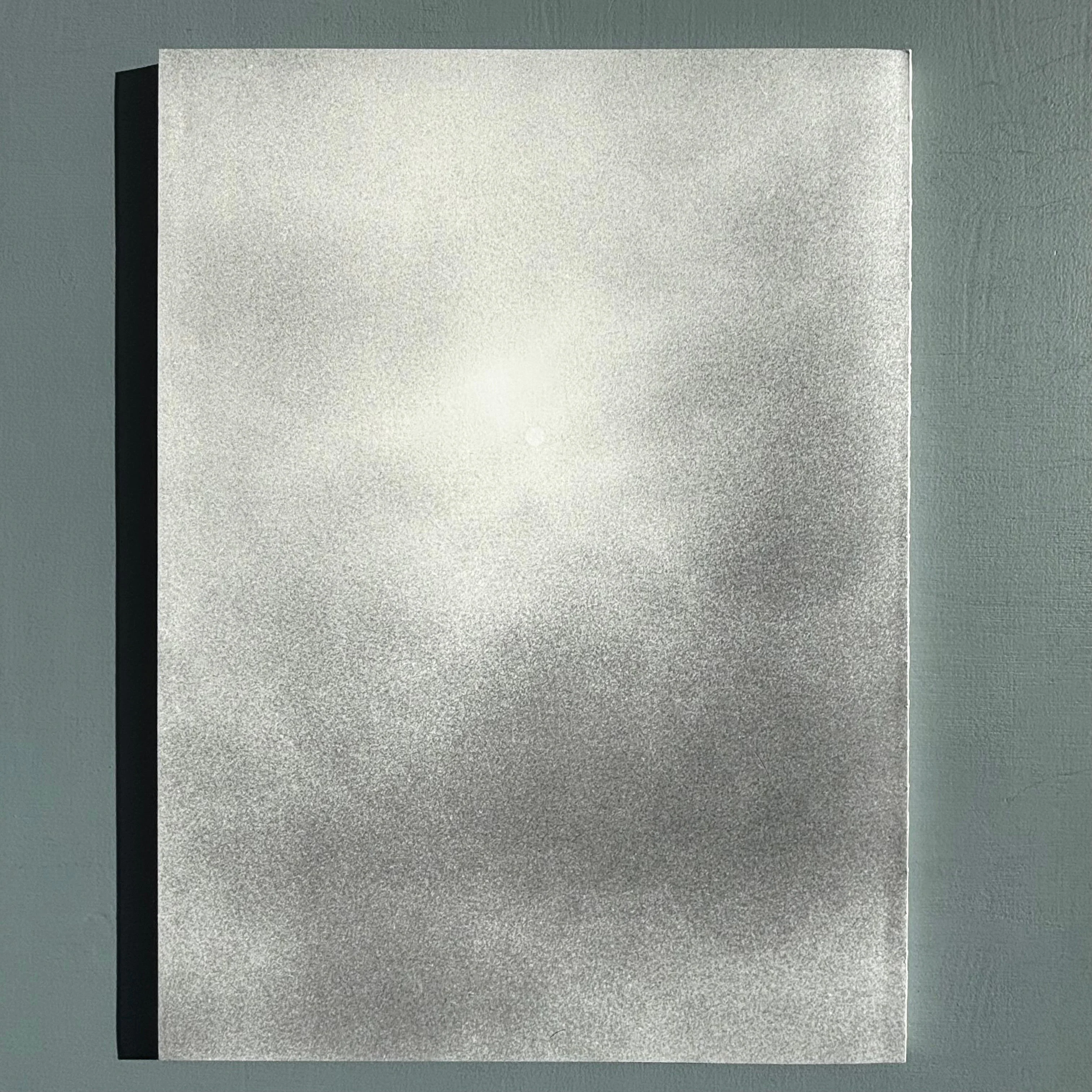 Jochen Lempert - Ankunft der Mauersegler: 26.4.2024 - BQ 2024 - Image 20