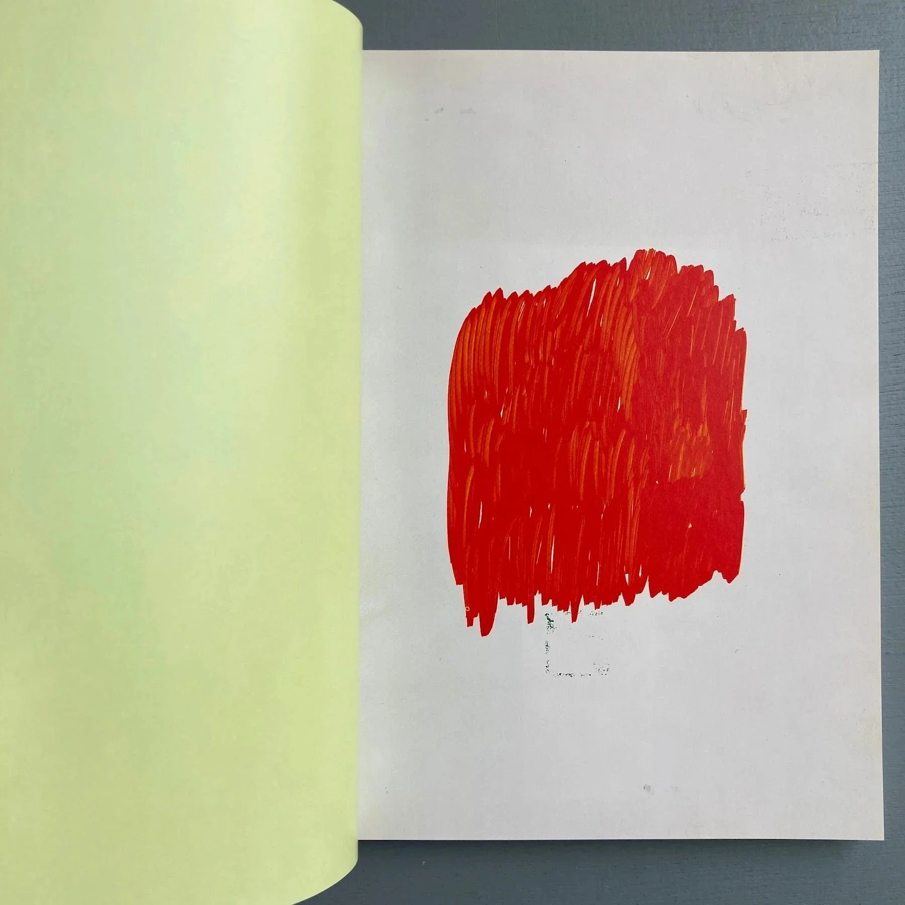 Joëlle Tuerlinckx - This book like a book - S.M.A.K. 1999 - Image 2