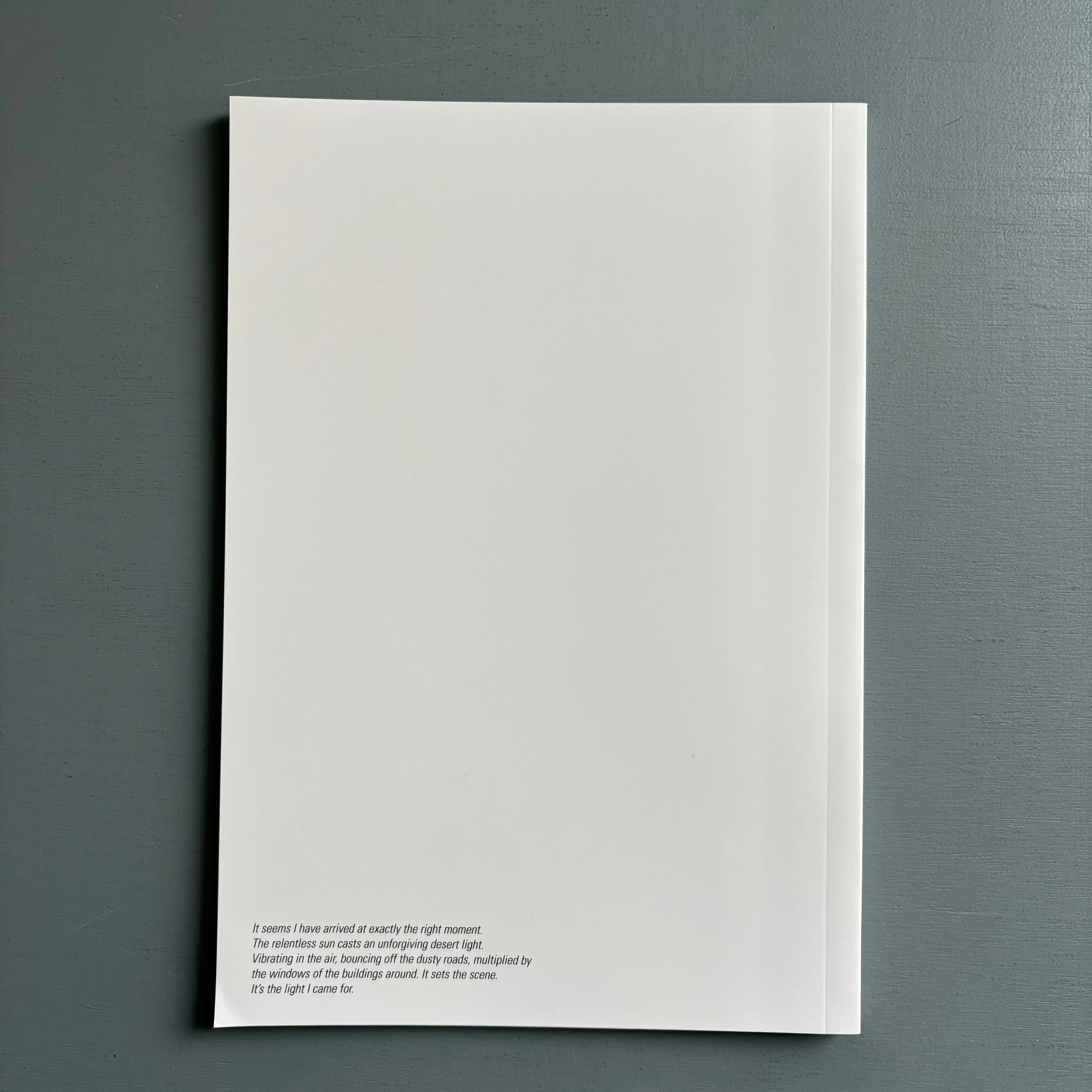 Johannes Elebaut - Reno Riviera - Self-published 2024 - Image 9