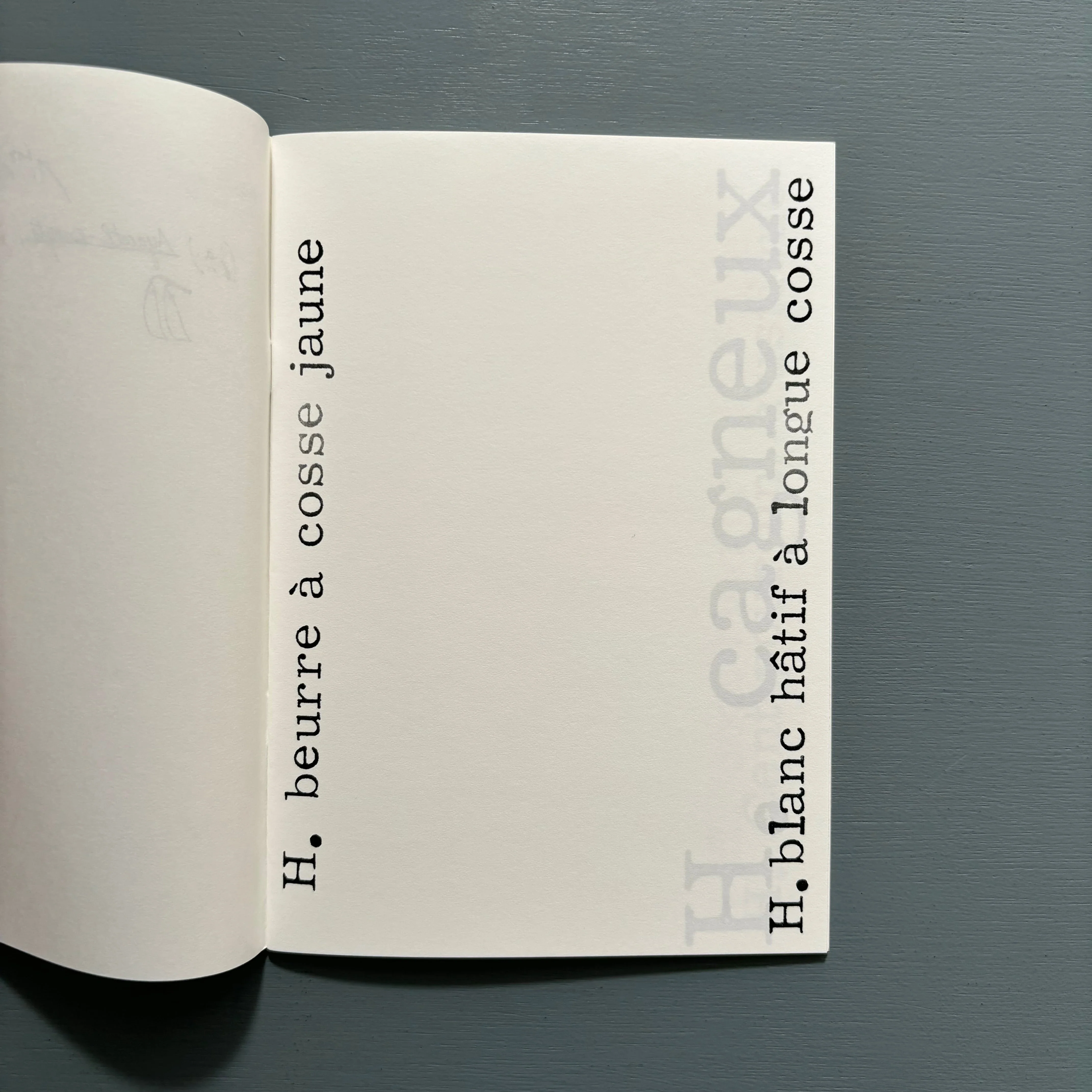 John Armleder - Ayacotl excerpts No. 3 - Nieves 2014 - Image 3