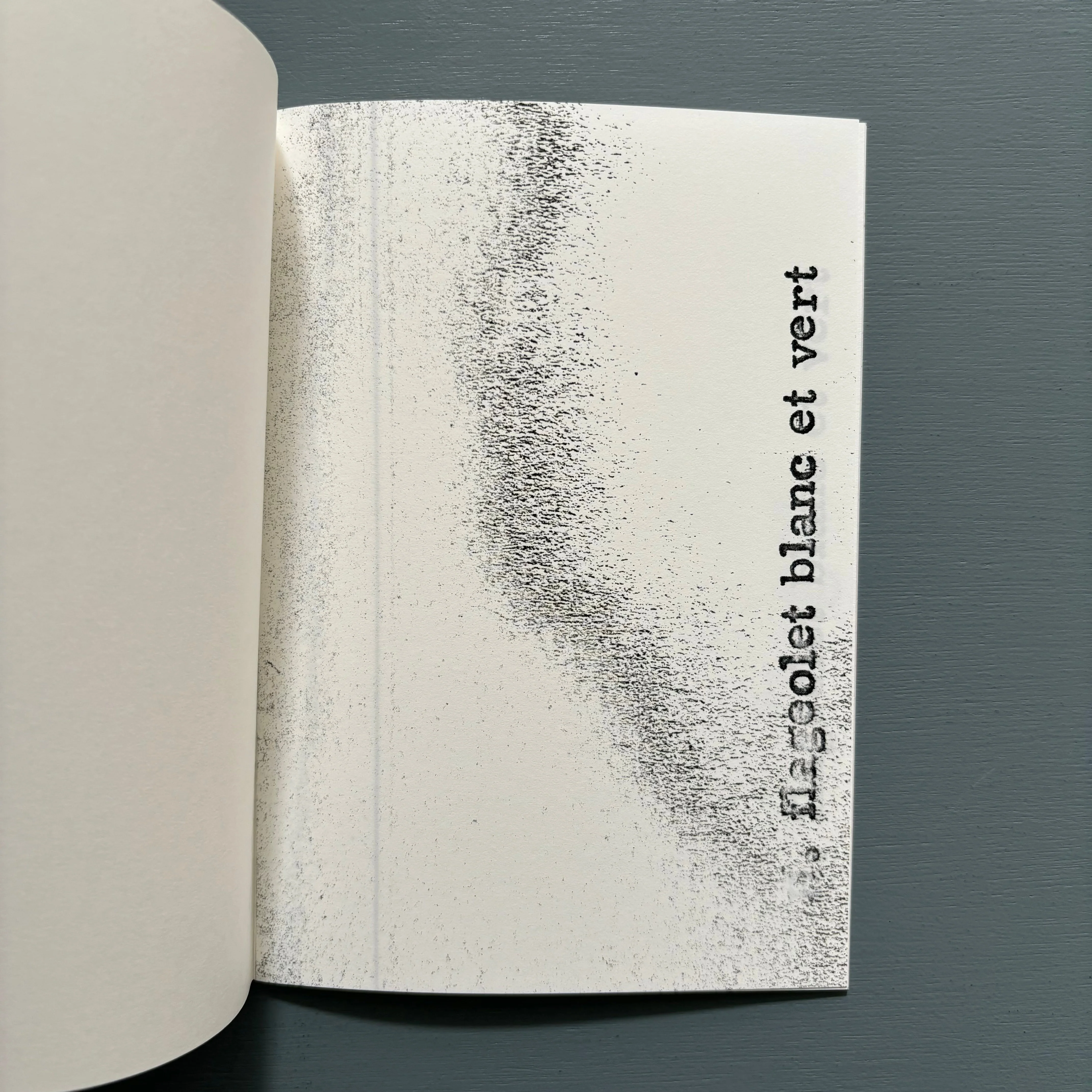 John Armleder - Ayacotl excerpts No. 3 - Nieves 2014 - Image 5