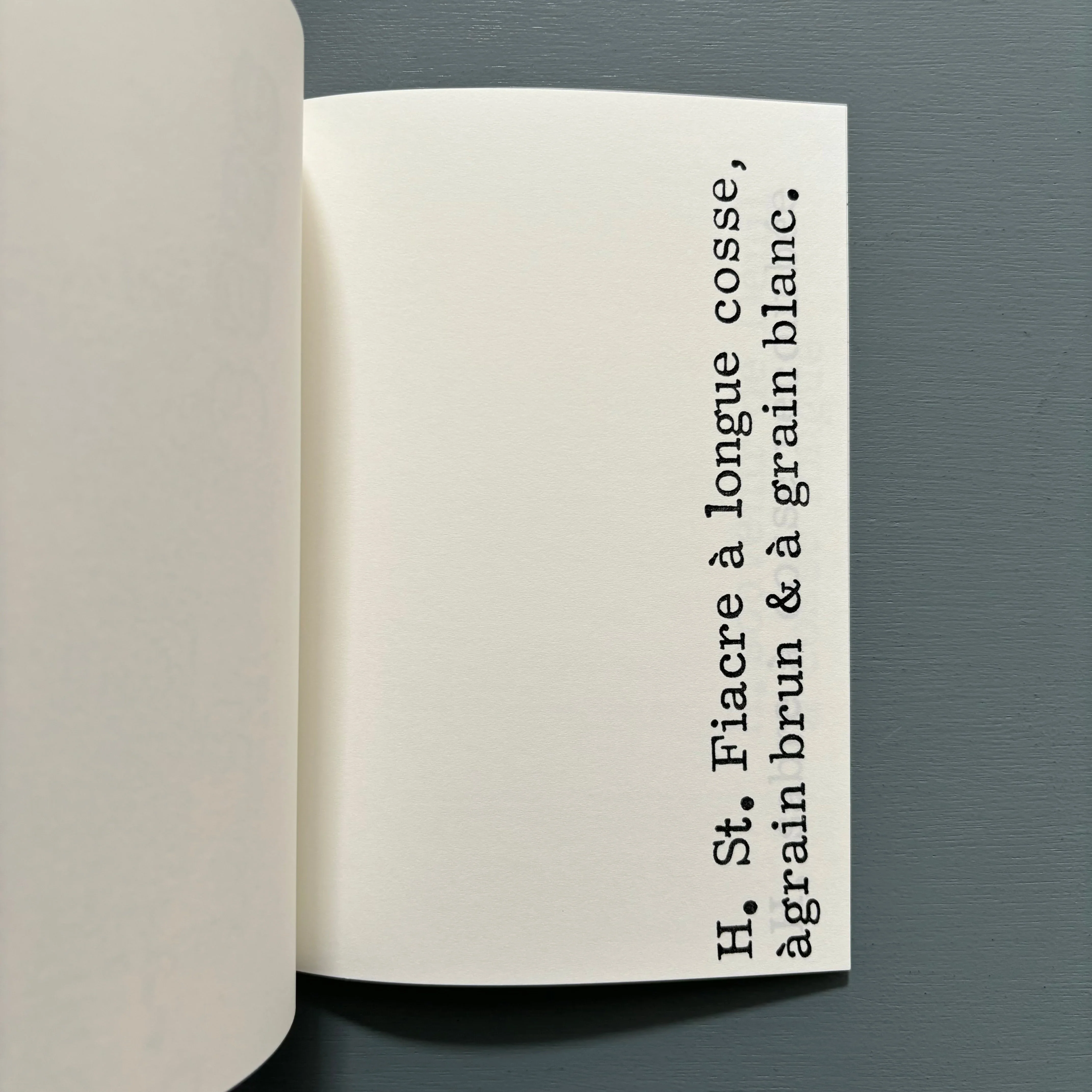 John Armleder - Ayacotl excerpts No. 3 - Nieves 2014 - Image 6