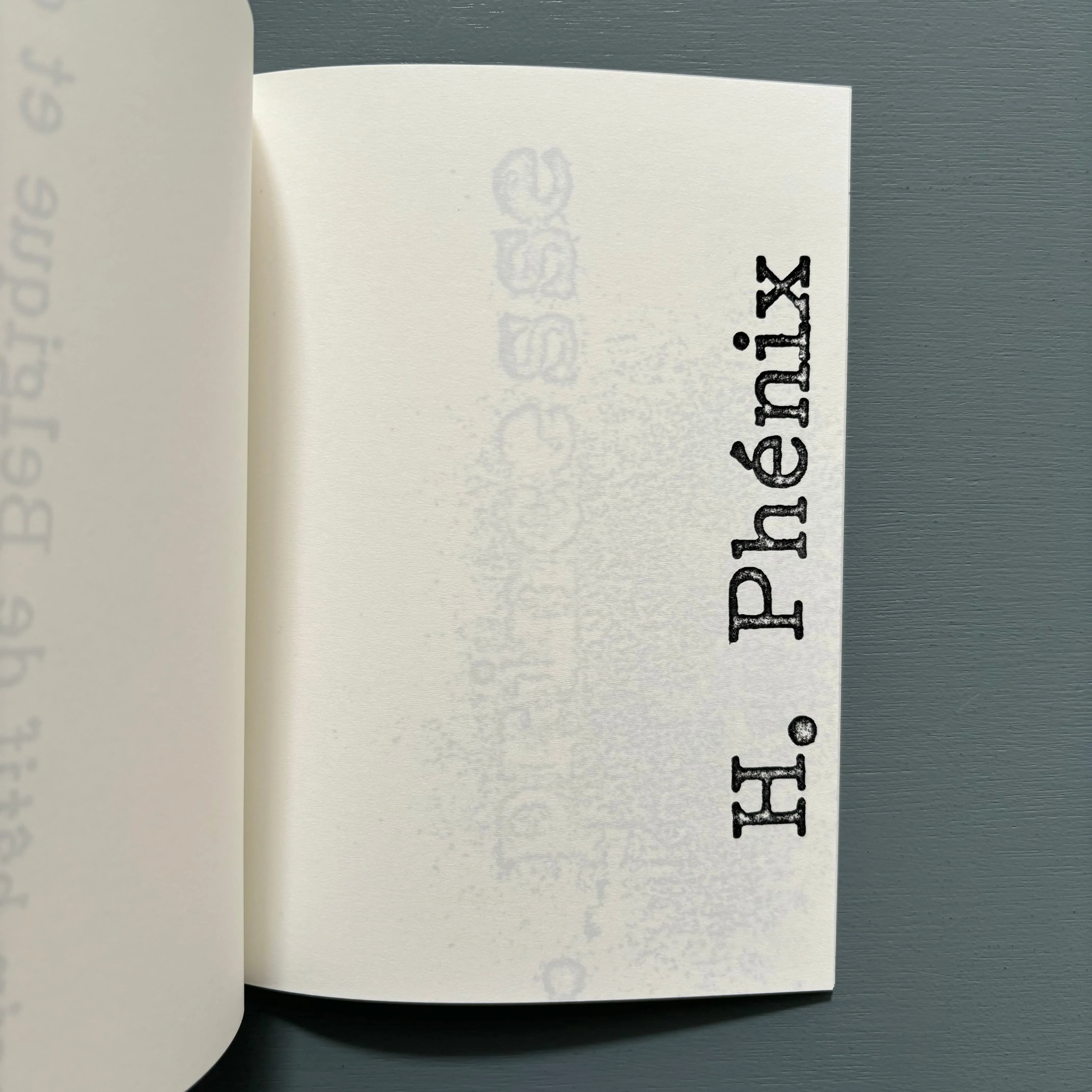 John Armleder - Ayacotl excerpts No. 3 - Nieves 2014 - Image 7