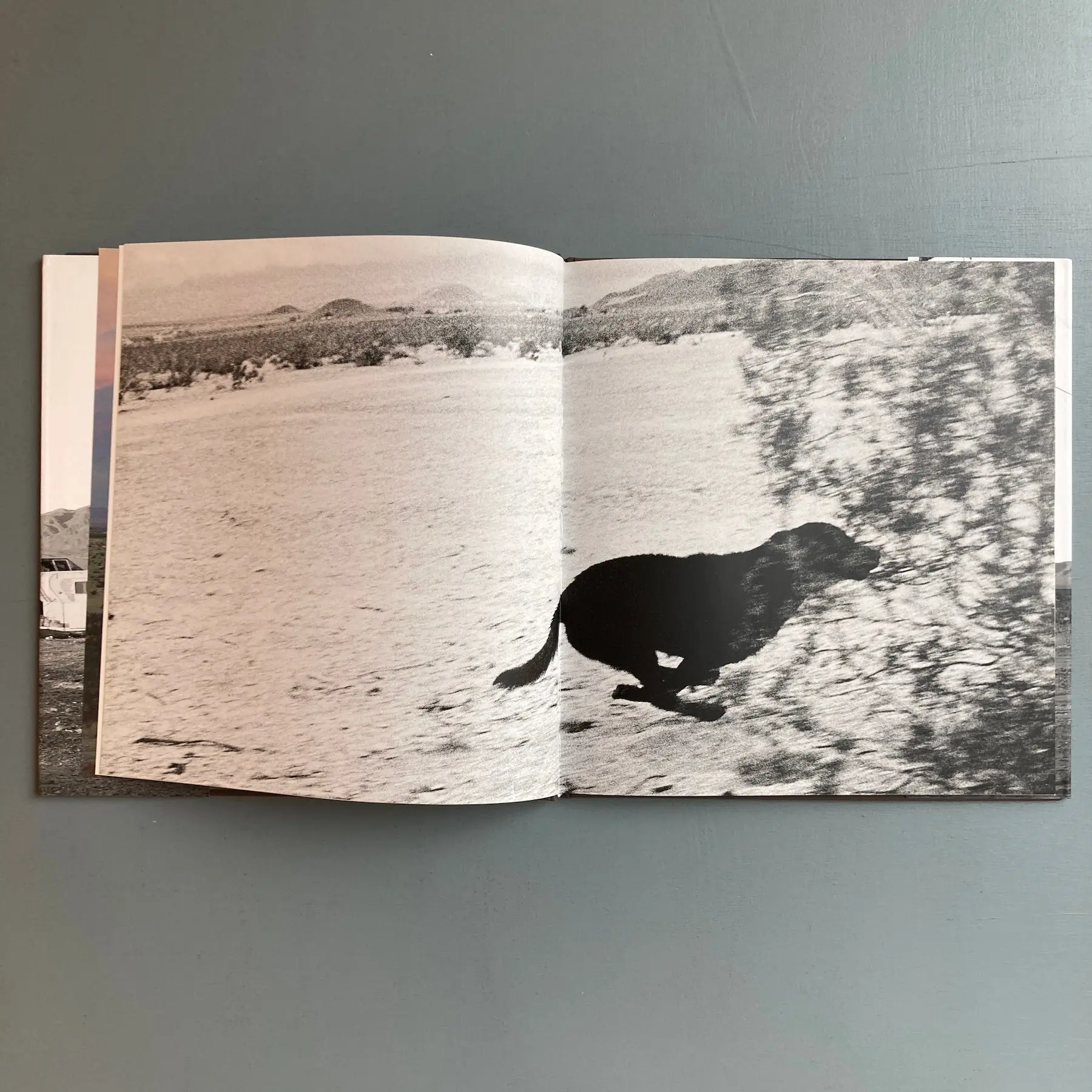 John Divola - Dogs Chasing my Car in the Desert - Nazraeli Press 2004 - Image 3