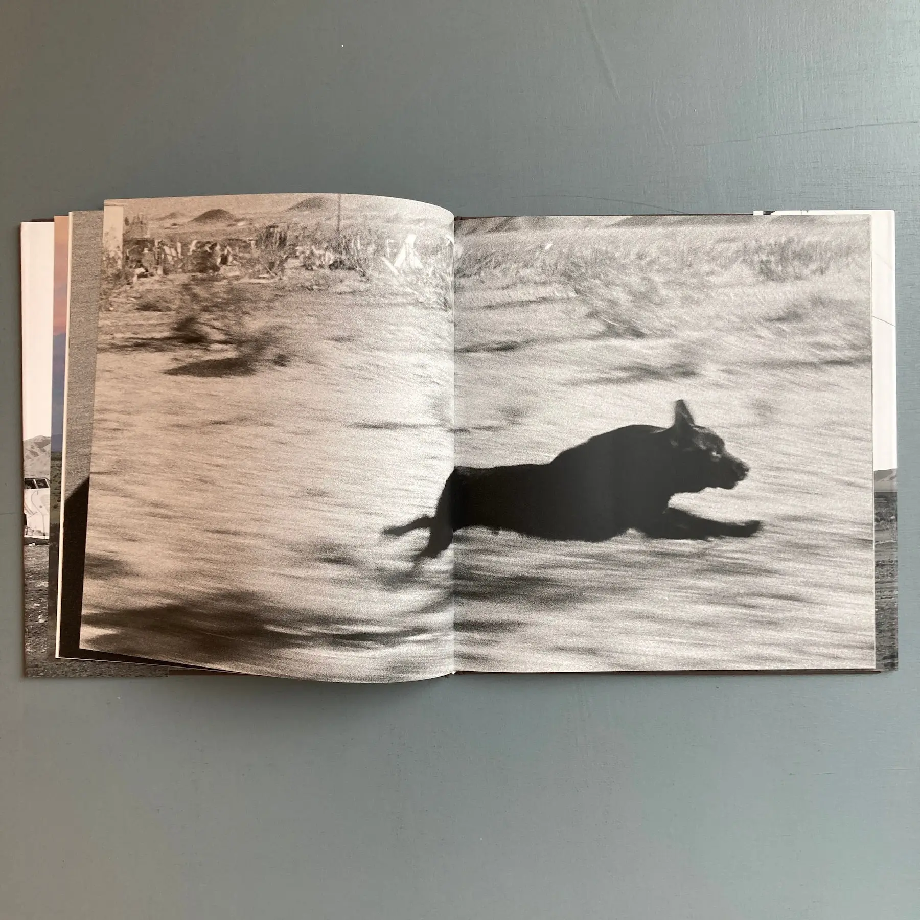 John Divola - Dogs Chasing my Car in the Desert - Nazraeli Press 2004 - Image 5