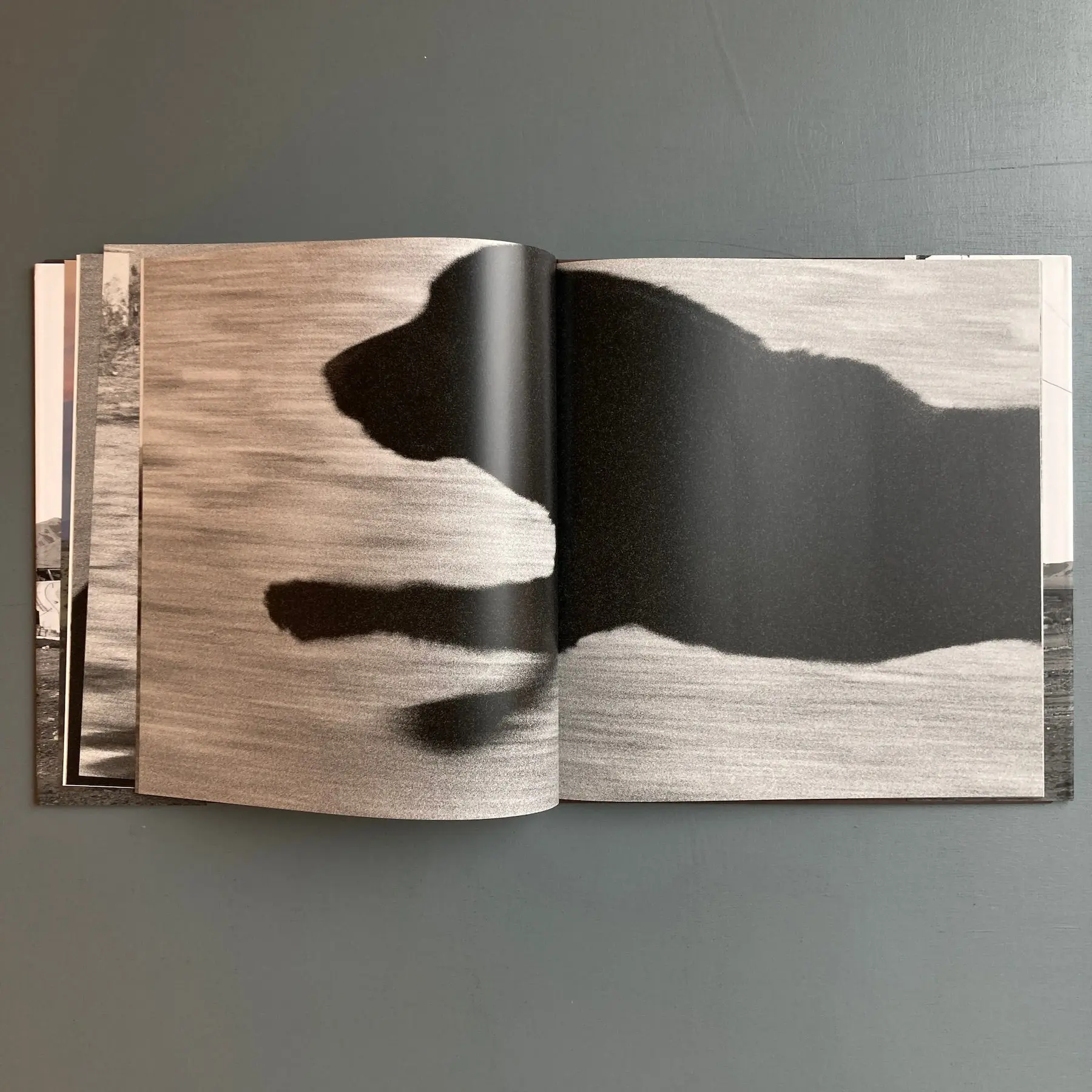 John Divola - Dogs Chasing my Car in the Desert - Nazraeli Press 2004 - Image 6