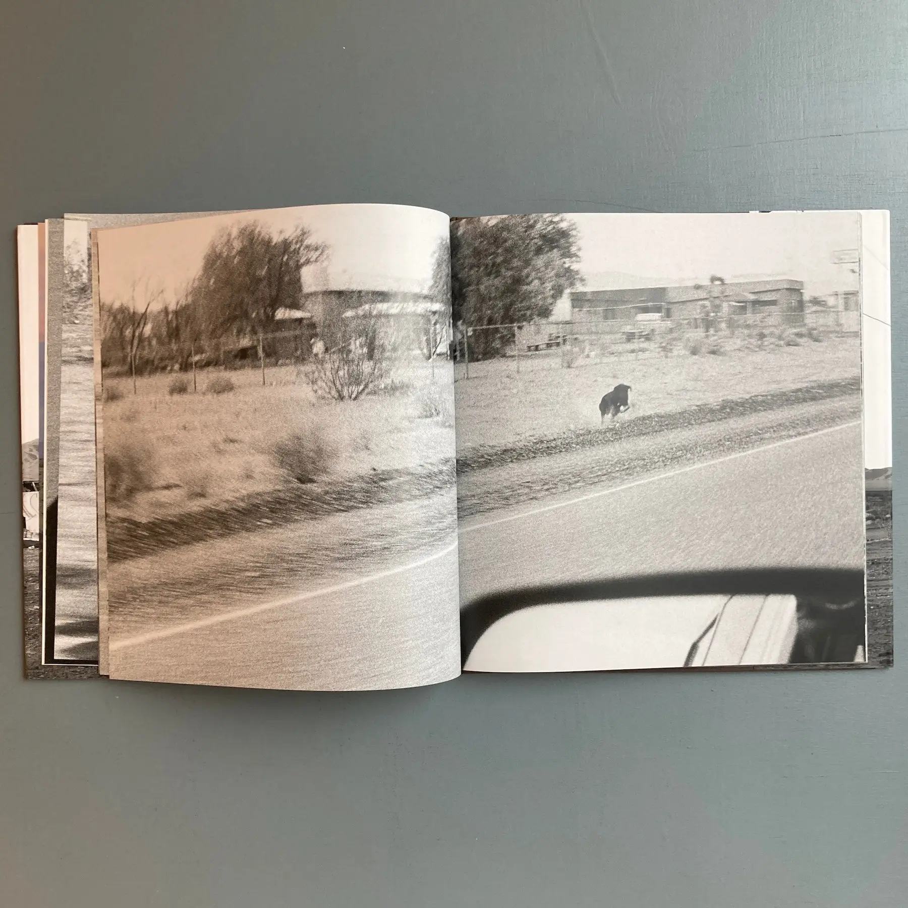 John Divola - Dogs Chasing my Car in the Desert - Nazraeli Press 2004 - Image 8