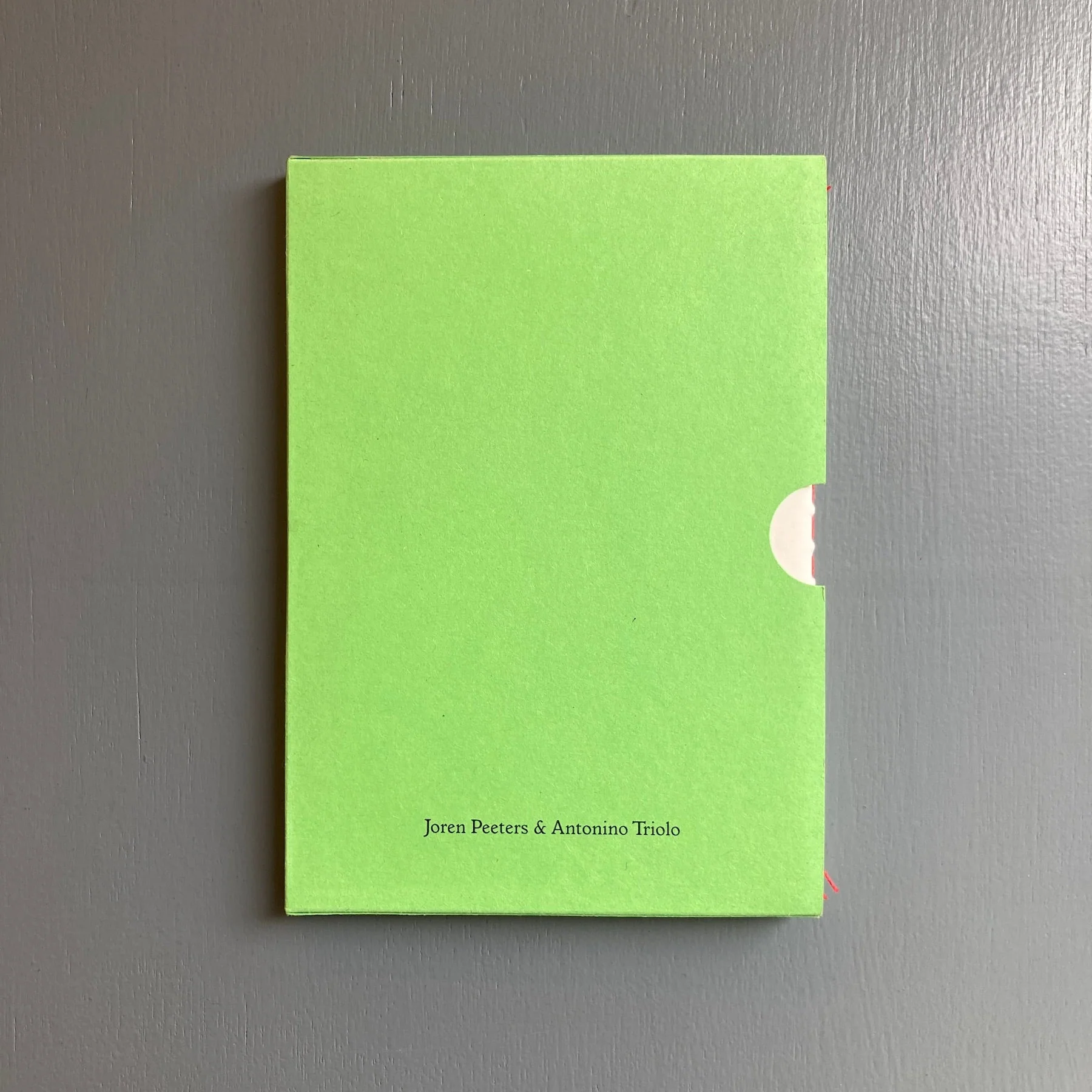 Joren Peeters & Antonino Triolo - Vaders van de Brusselse Halsbandparkiet - Self-published 2024 - Image 10