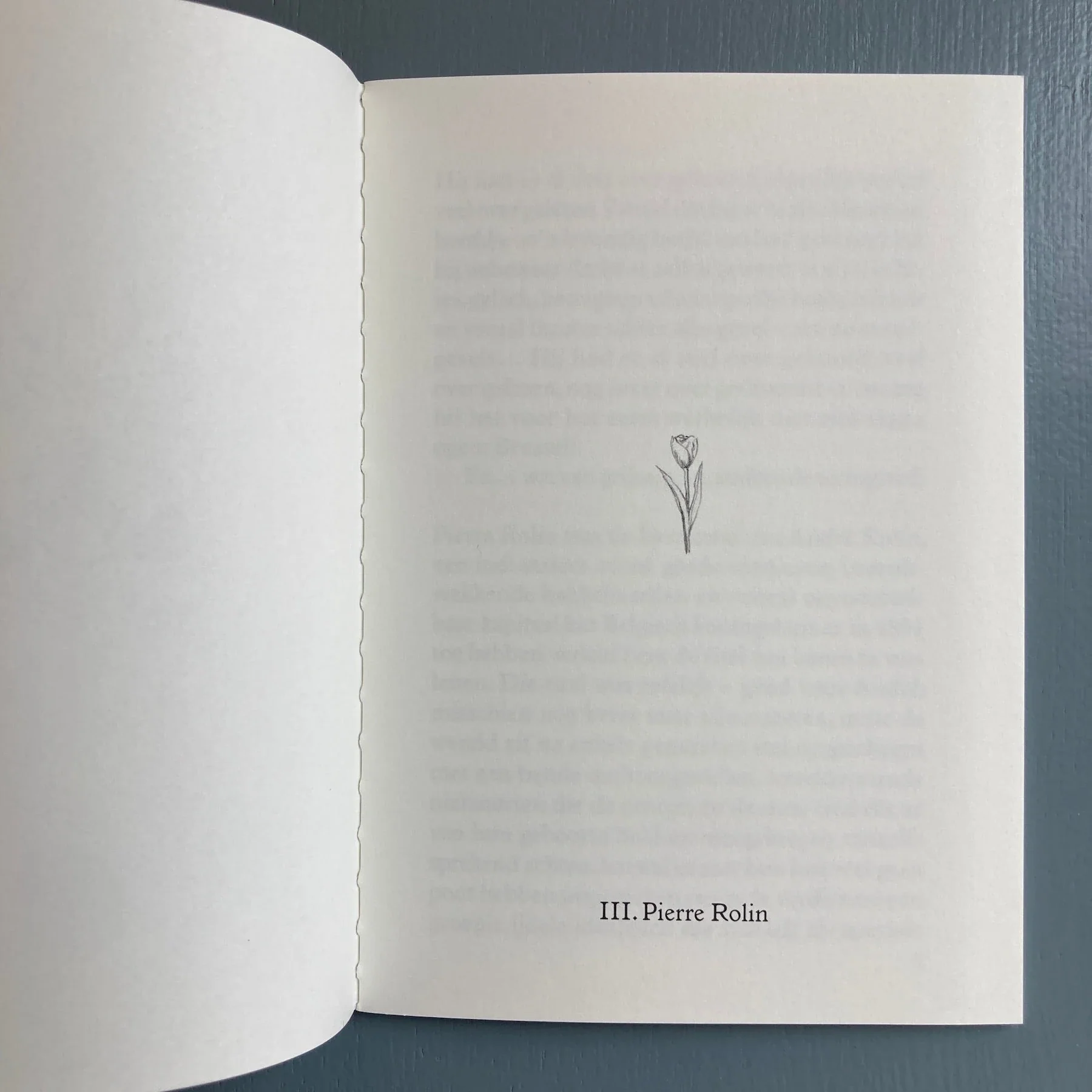 Joren Peeters & Antonino Triolo - Vaders van de Brusselse Halsbandparkiet - Self-published 2024 - Image 8