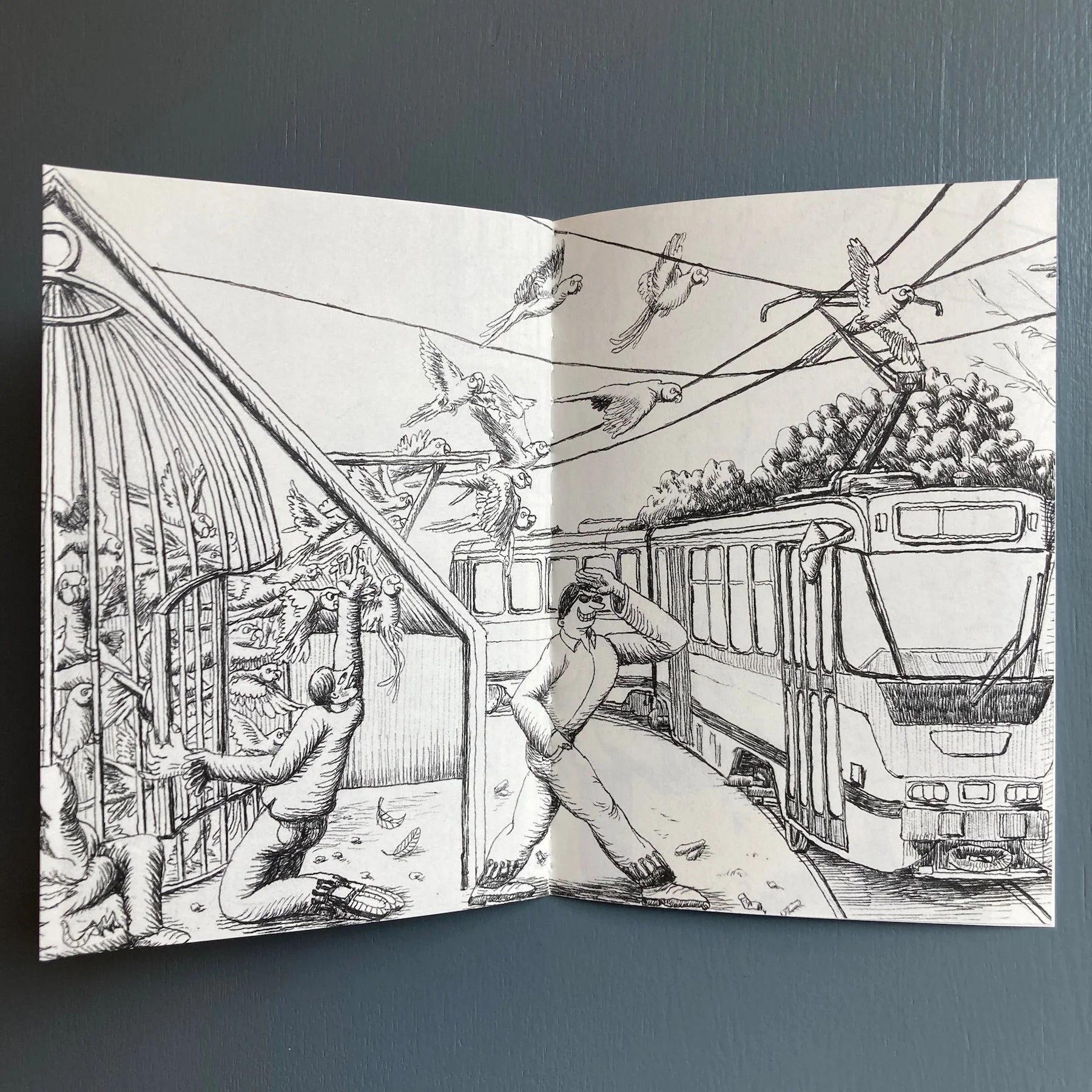 Joren Peeters & Antonino Triolo - Vaders van de Brusselse Halsbandparkiet - Self-published 2024 - Image 9