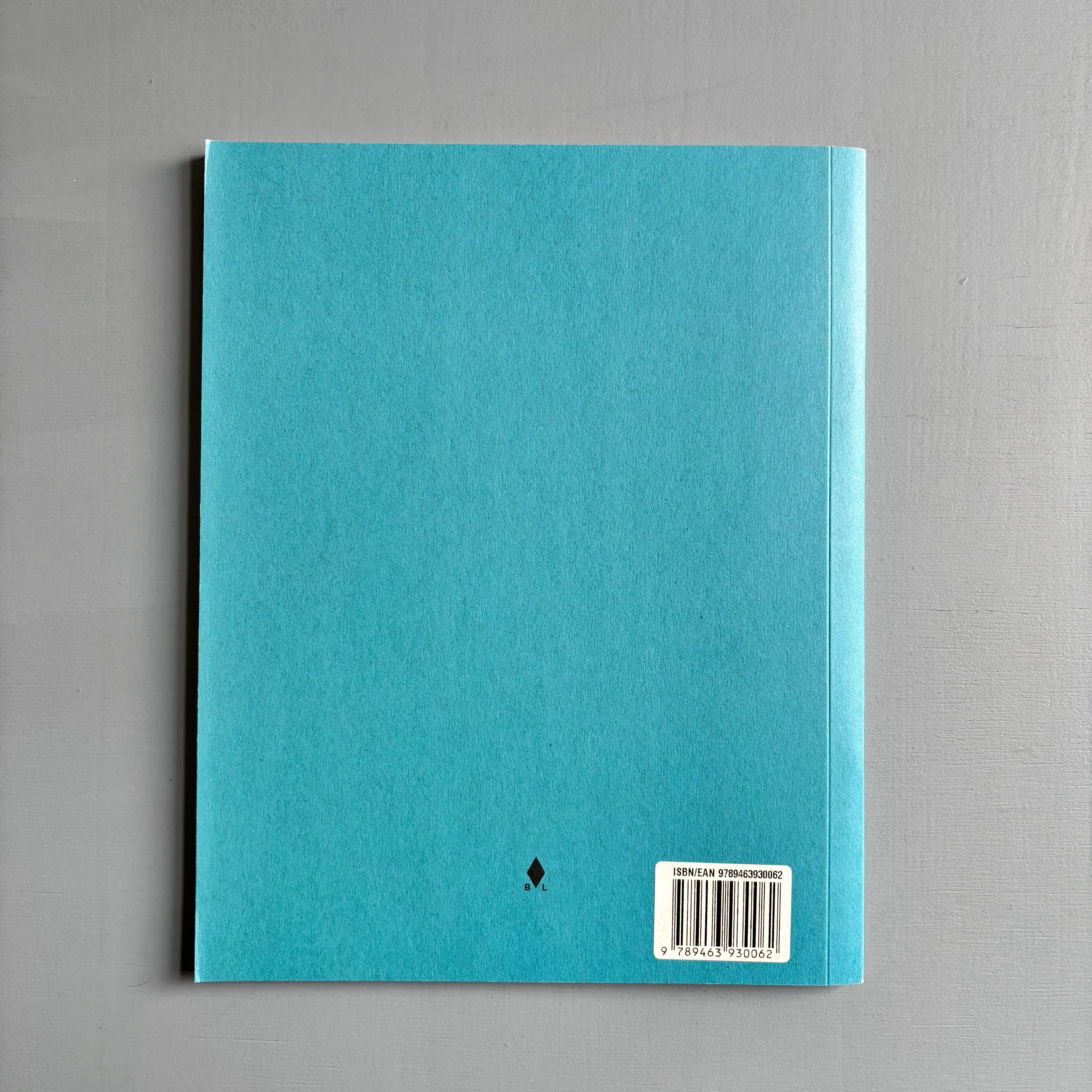 Julião Sarmento - Some Art Sites of Recent Historical Interest in America 2013-2018 - MER. Books 2019 - Image 13