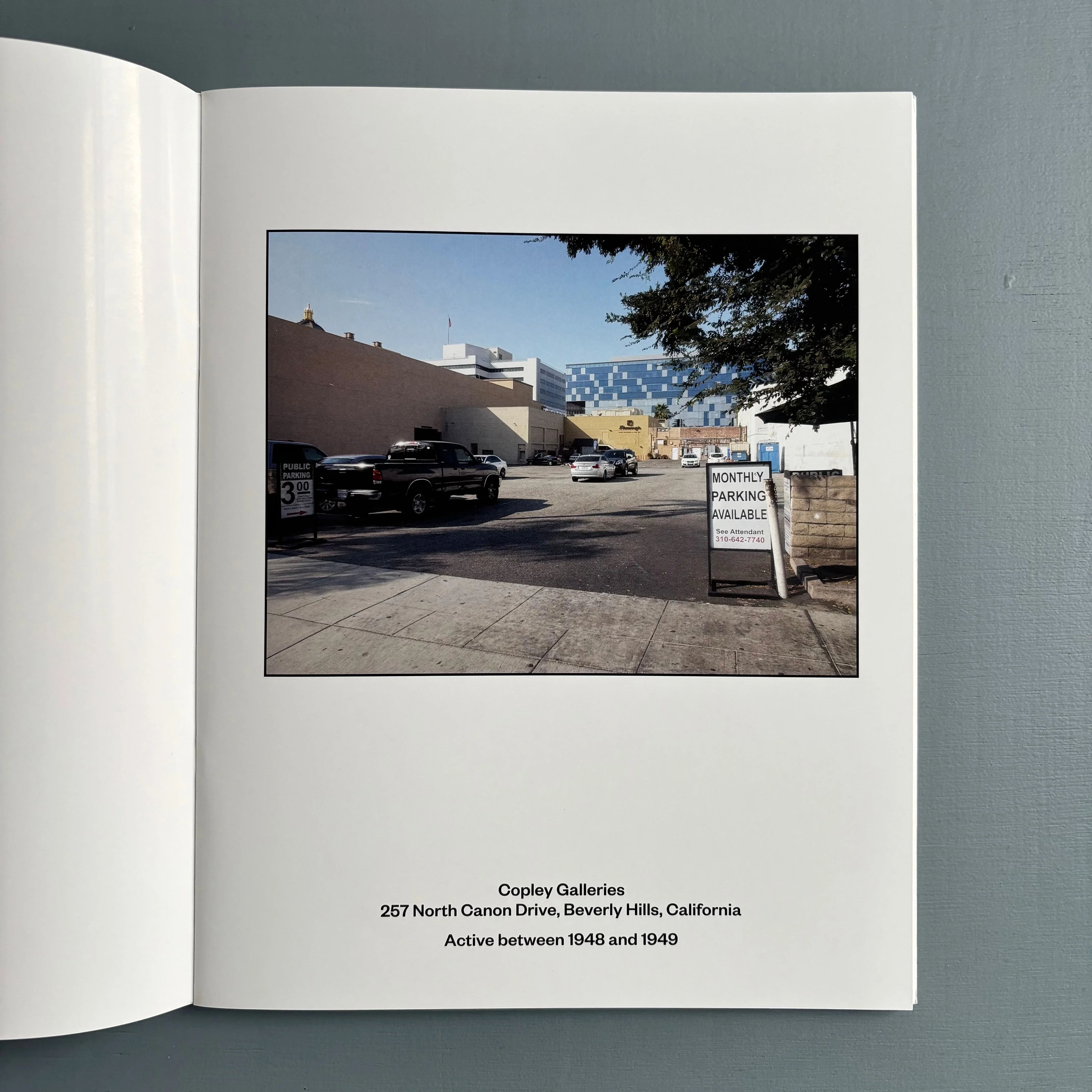 Julião Sarmento - Some Art Sites of Recent Historical Interest in America 2013-2018 - MER. Books 2019 - Image 5