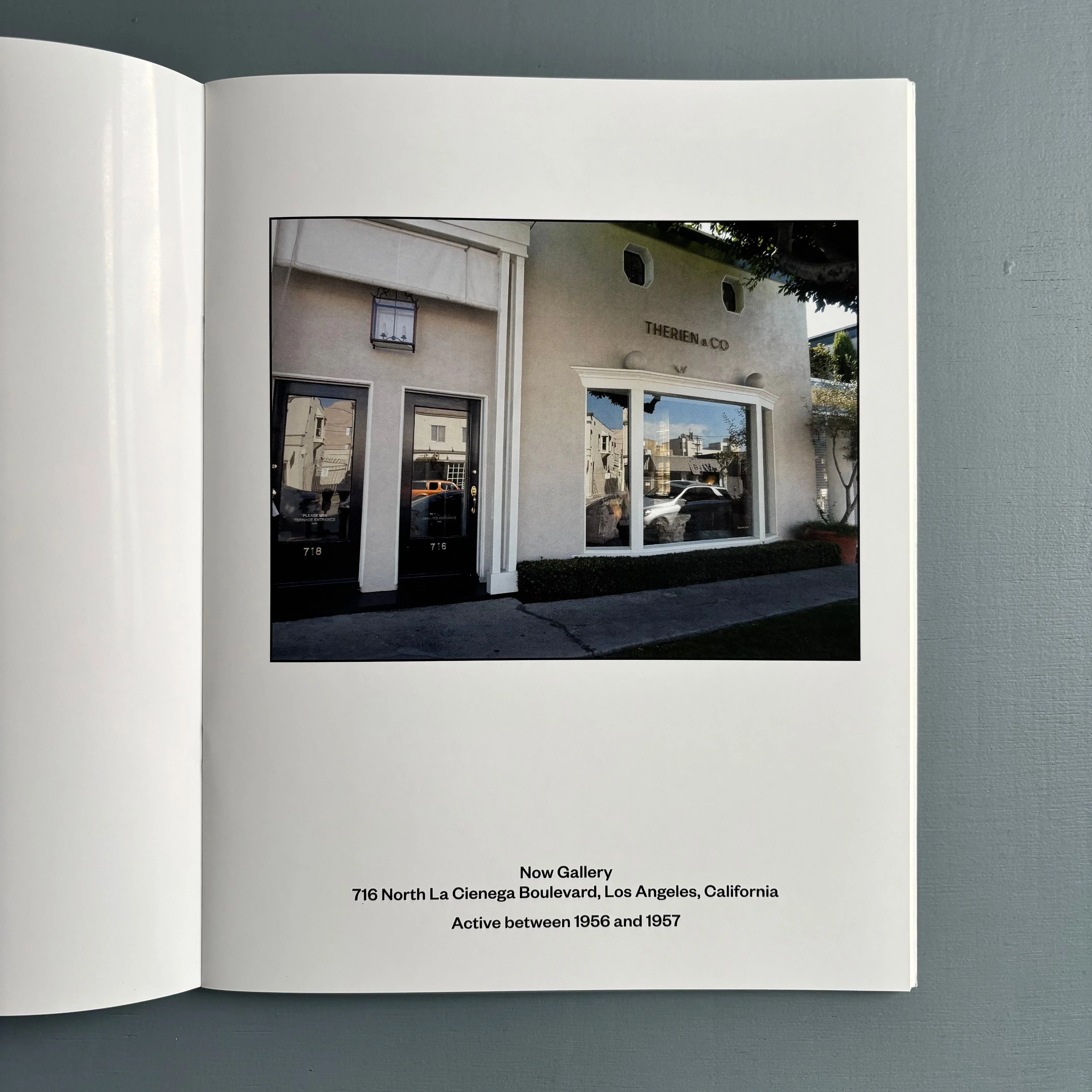 Julião Sarmento - Some Art Sites of Recent Historical Interest in America 2013-2018 - MER. Books 2019 - Image 6