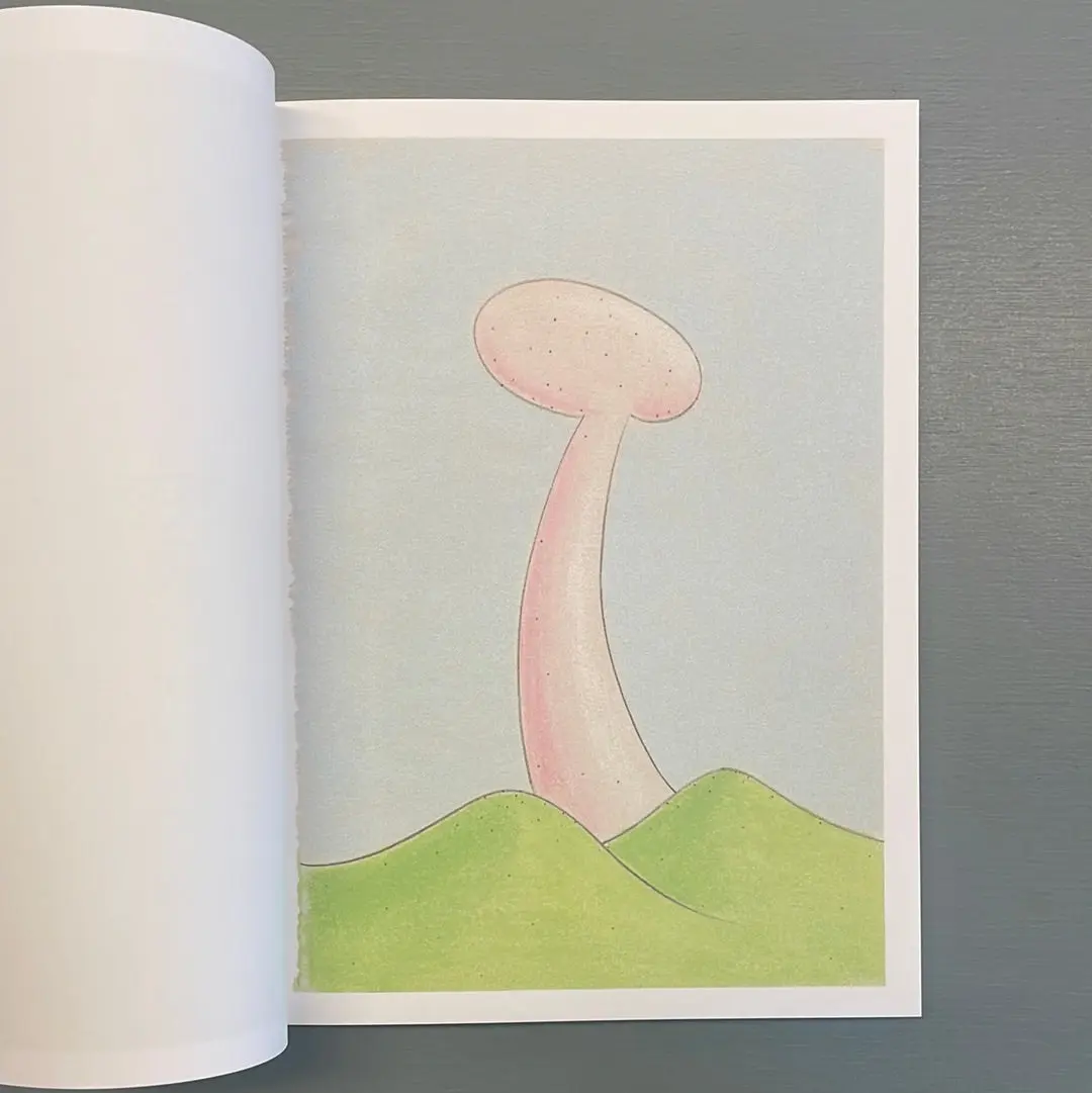 Julien Meert - Météorismes - Sorry we're closed / Triangle books 2023 - Image 2