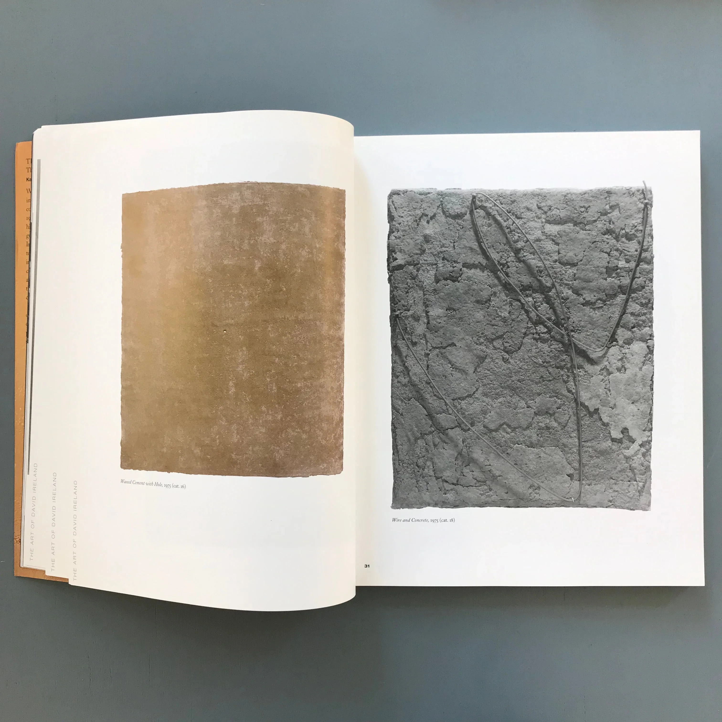 Karen Tsujimoto and Jennifer Gross - The art of David Ireland - University of California Press 2003 - Image 6