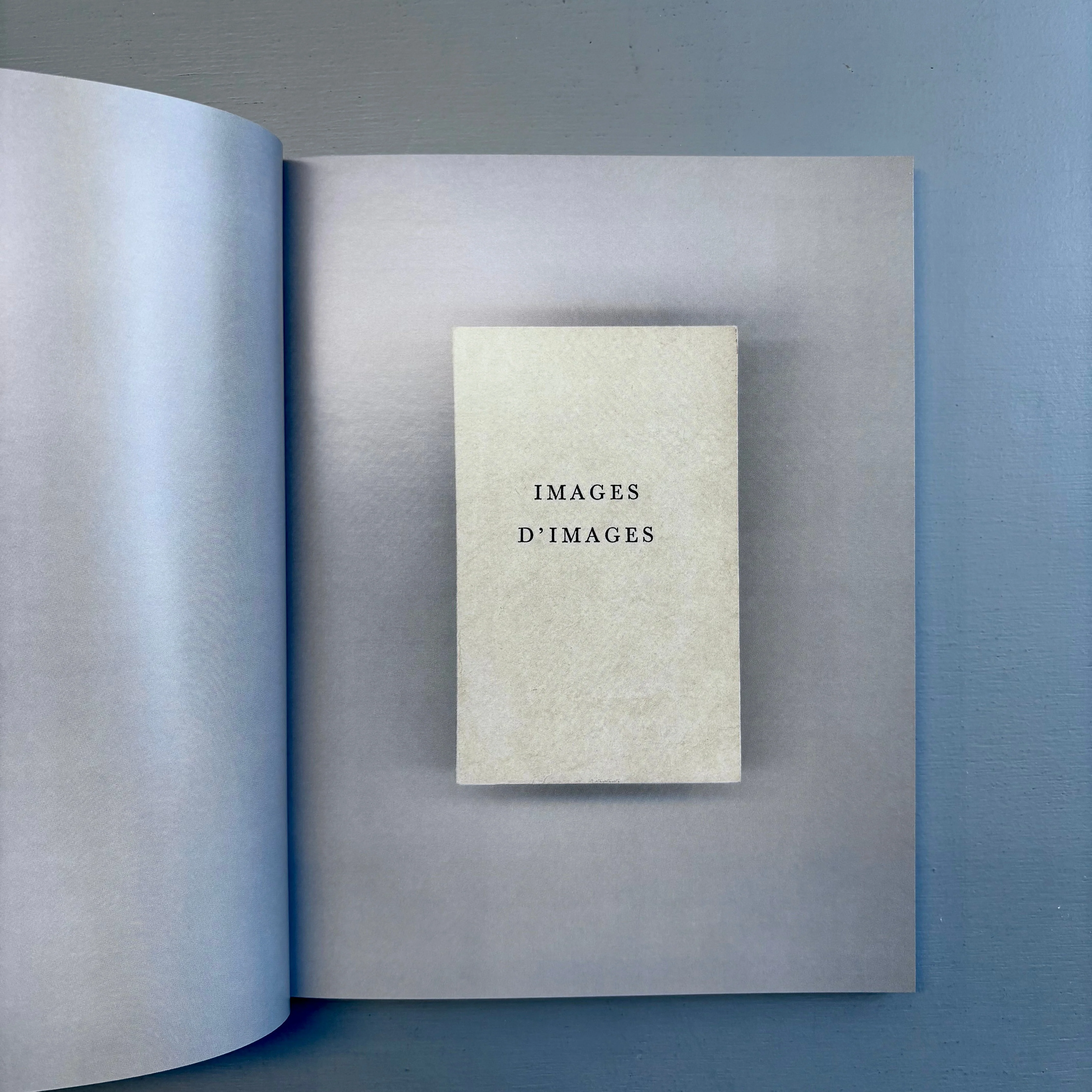 Katerina Jebb - Images d'Images - Just An Idea Books 2025 - Image 2