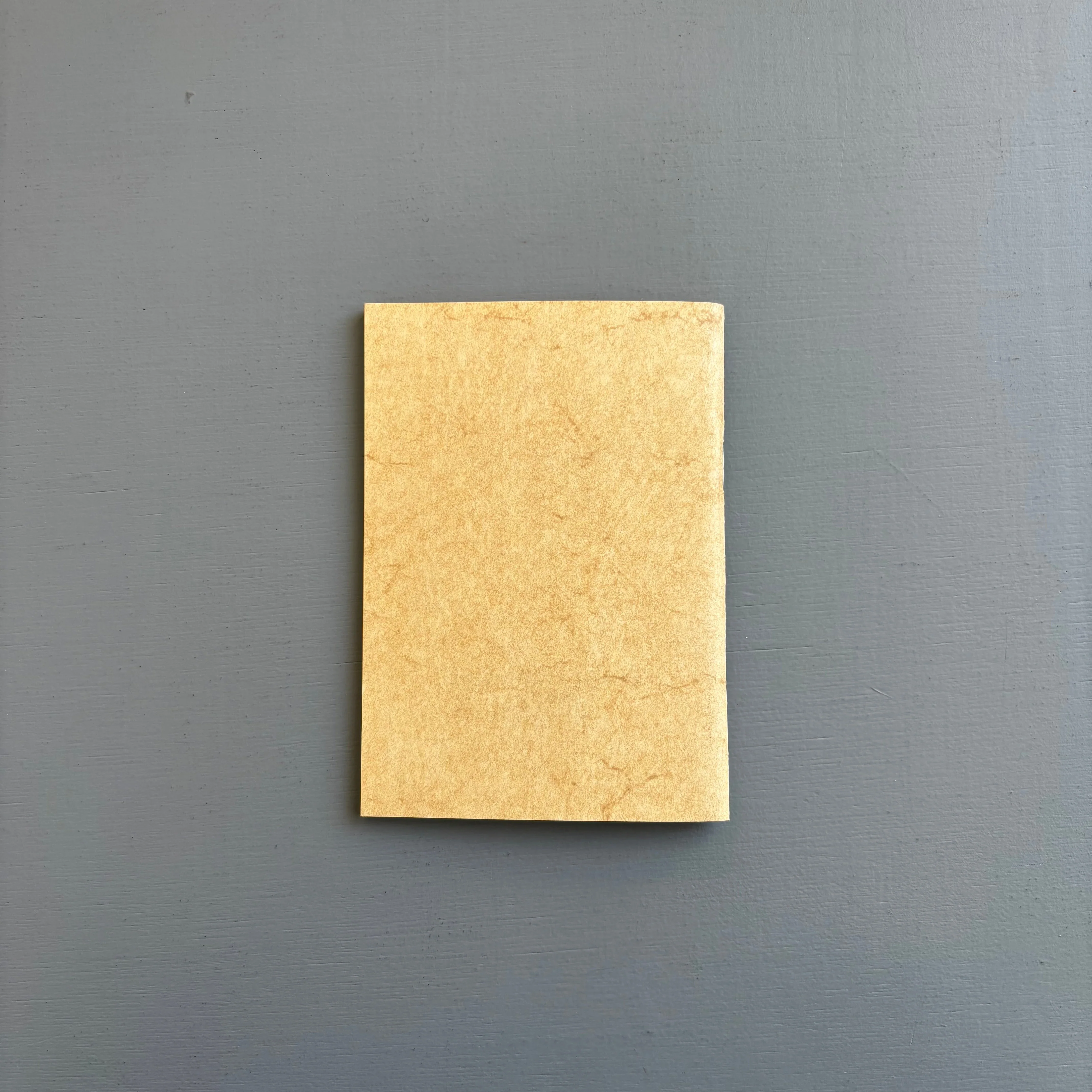Kippenberger Oehlen - 14.000.000,- Für ein Hallöchen - Galerie Ascan Crone 1986 - Image 10