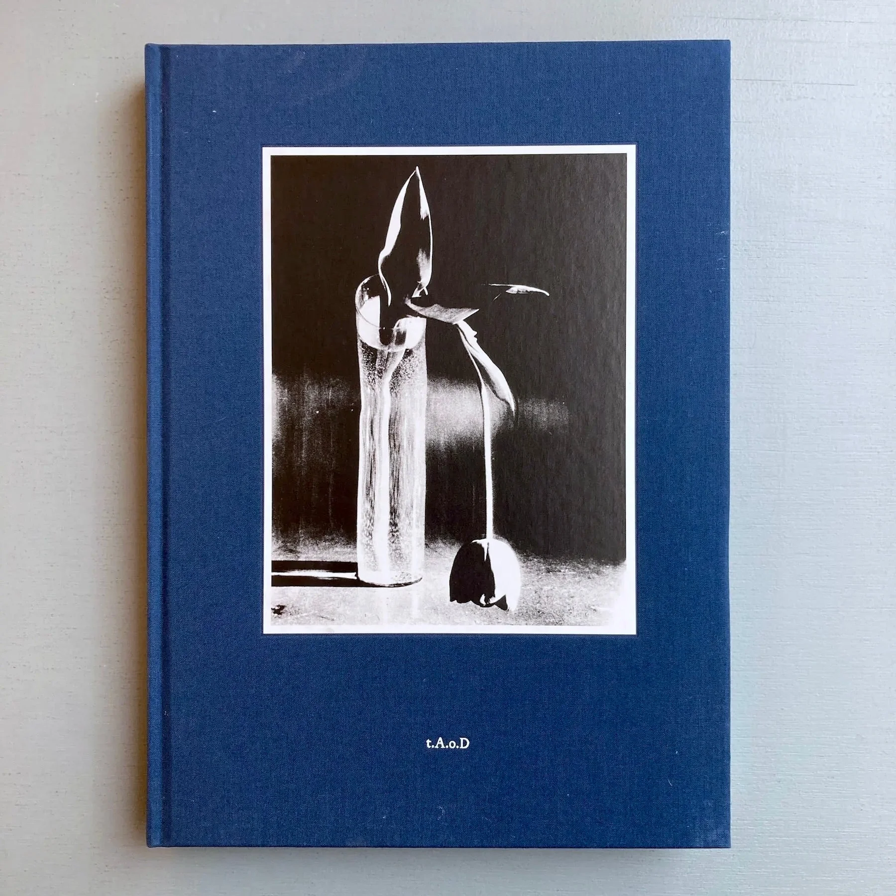 Kirstine Roepstorff - The Archive of Dark - InOtherWords 2021