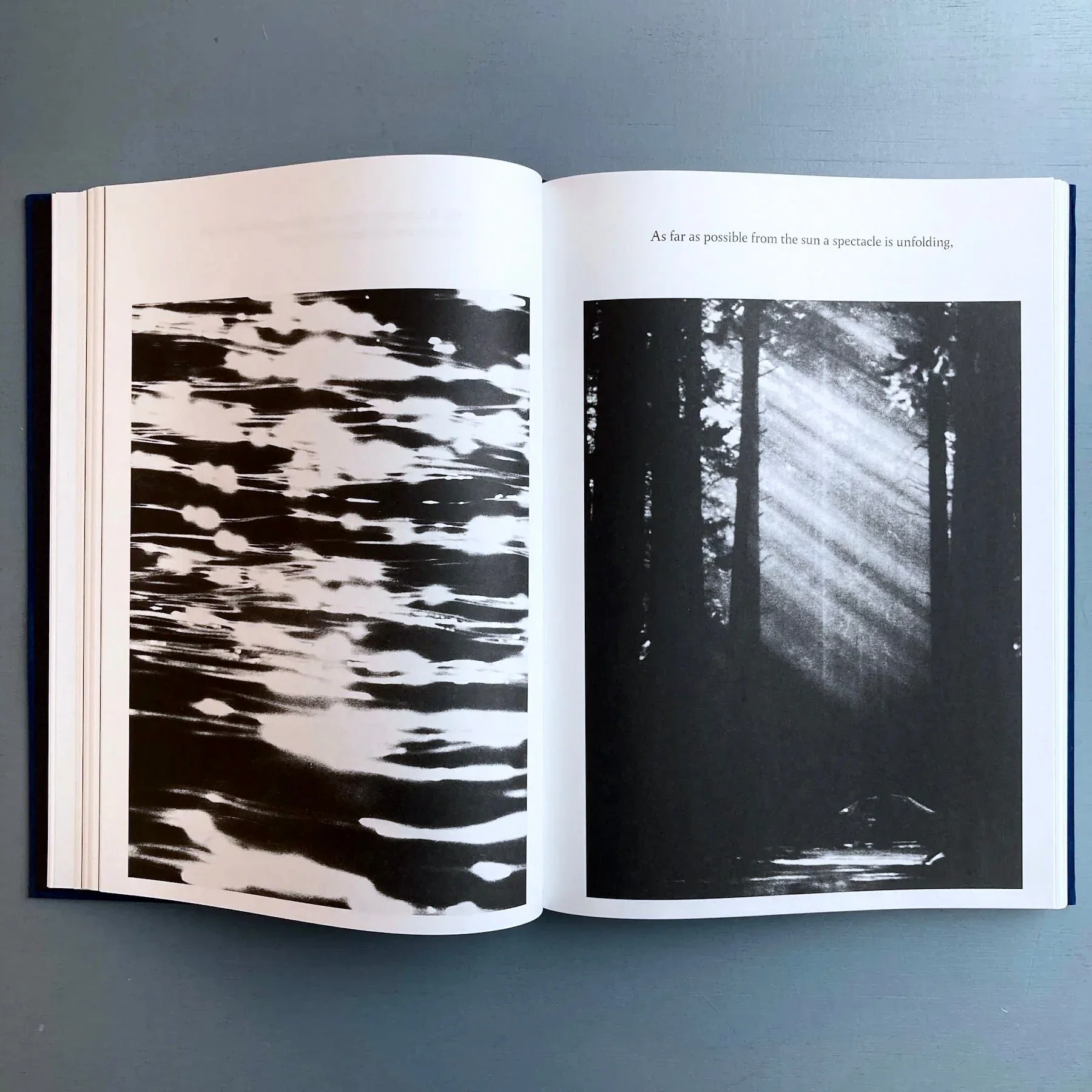 Kirstine Roepstorff - The Archive of Dark - InOtherWords 2021 - Image 3