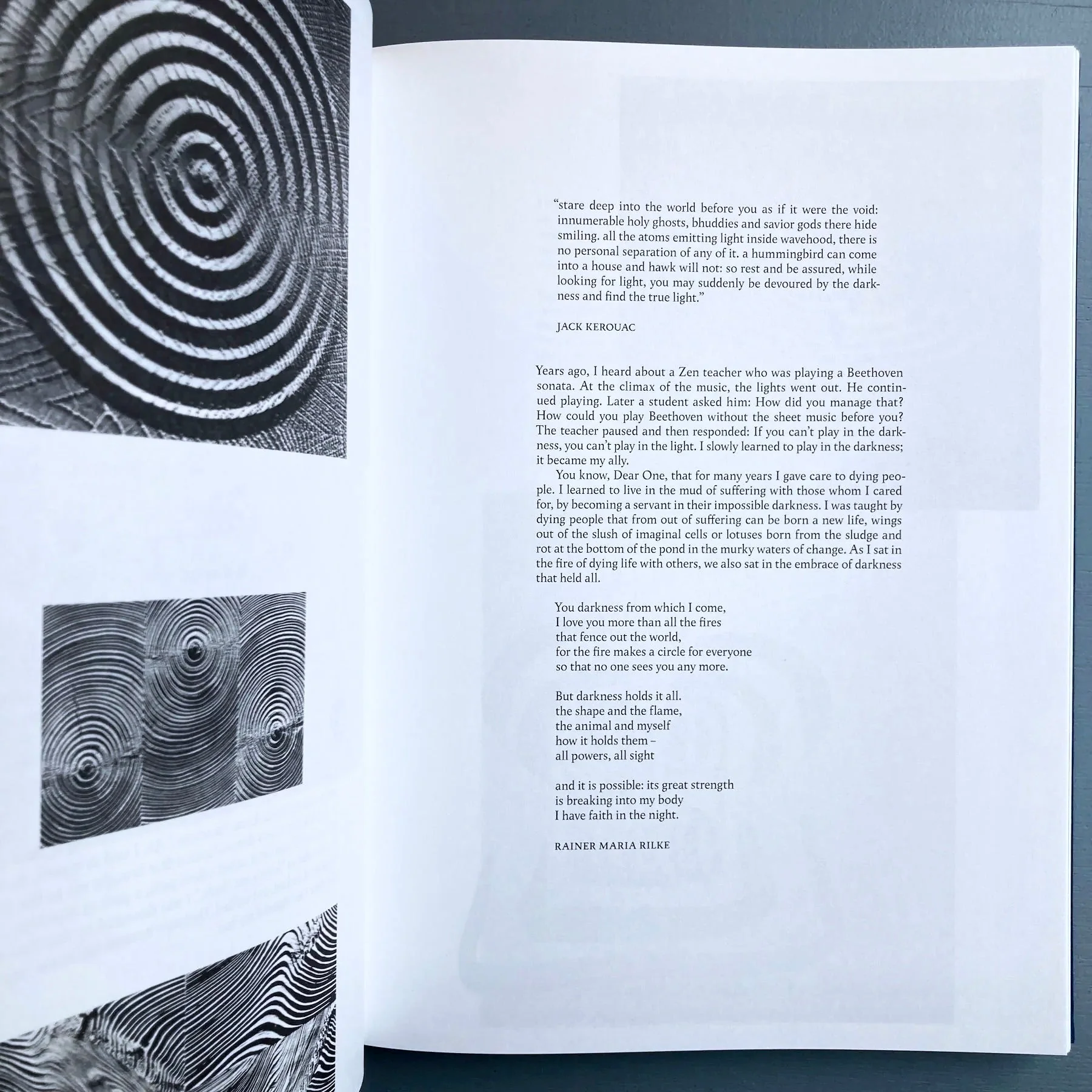 Kirstine Roepstorff - The Archive of Dark - InOtherWords 2021 - Image 4
