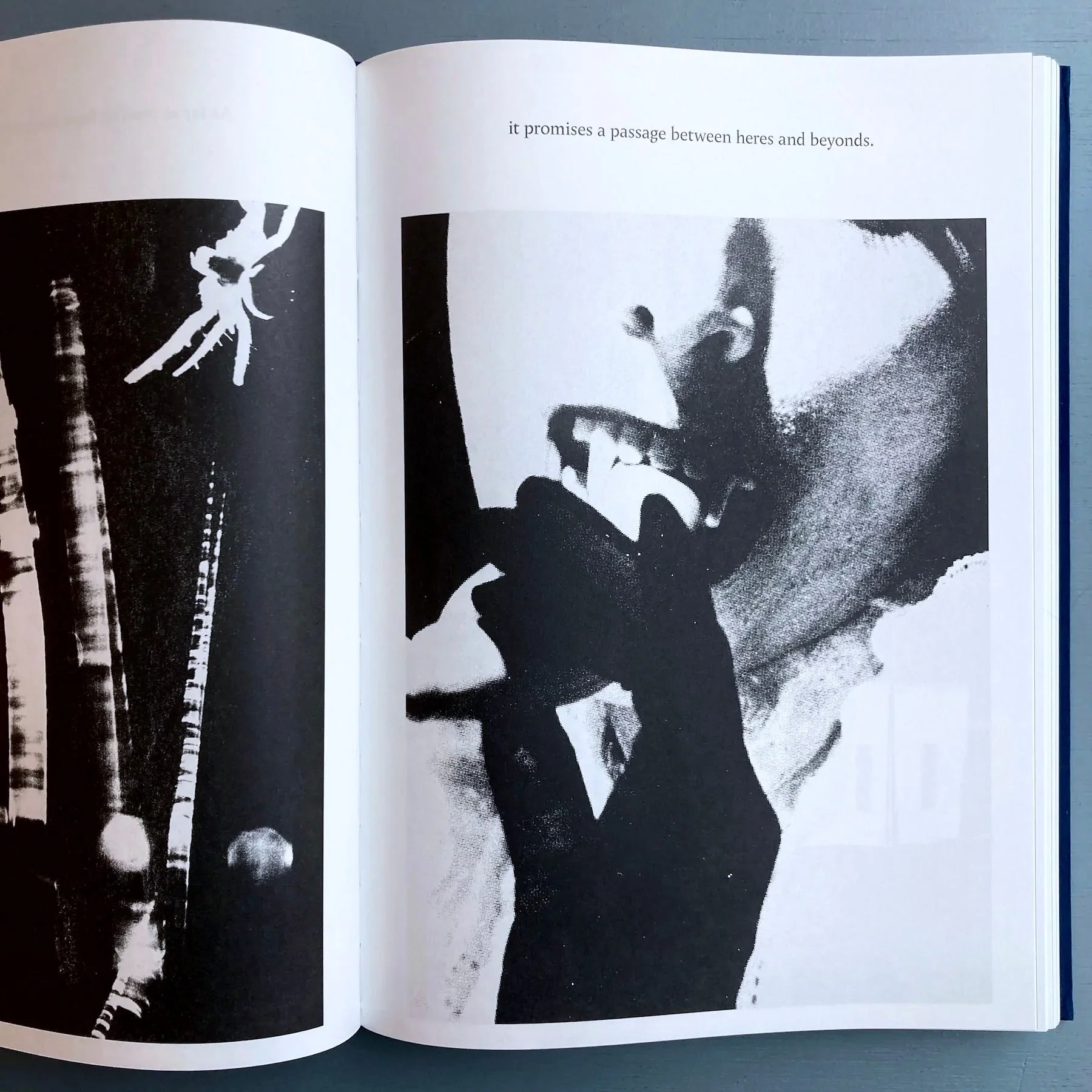Kirstine Roepstorff - The Archive of Dark - InOtherWords 2021 - Image 6