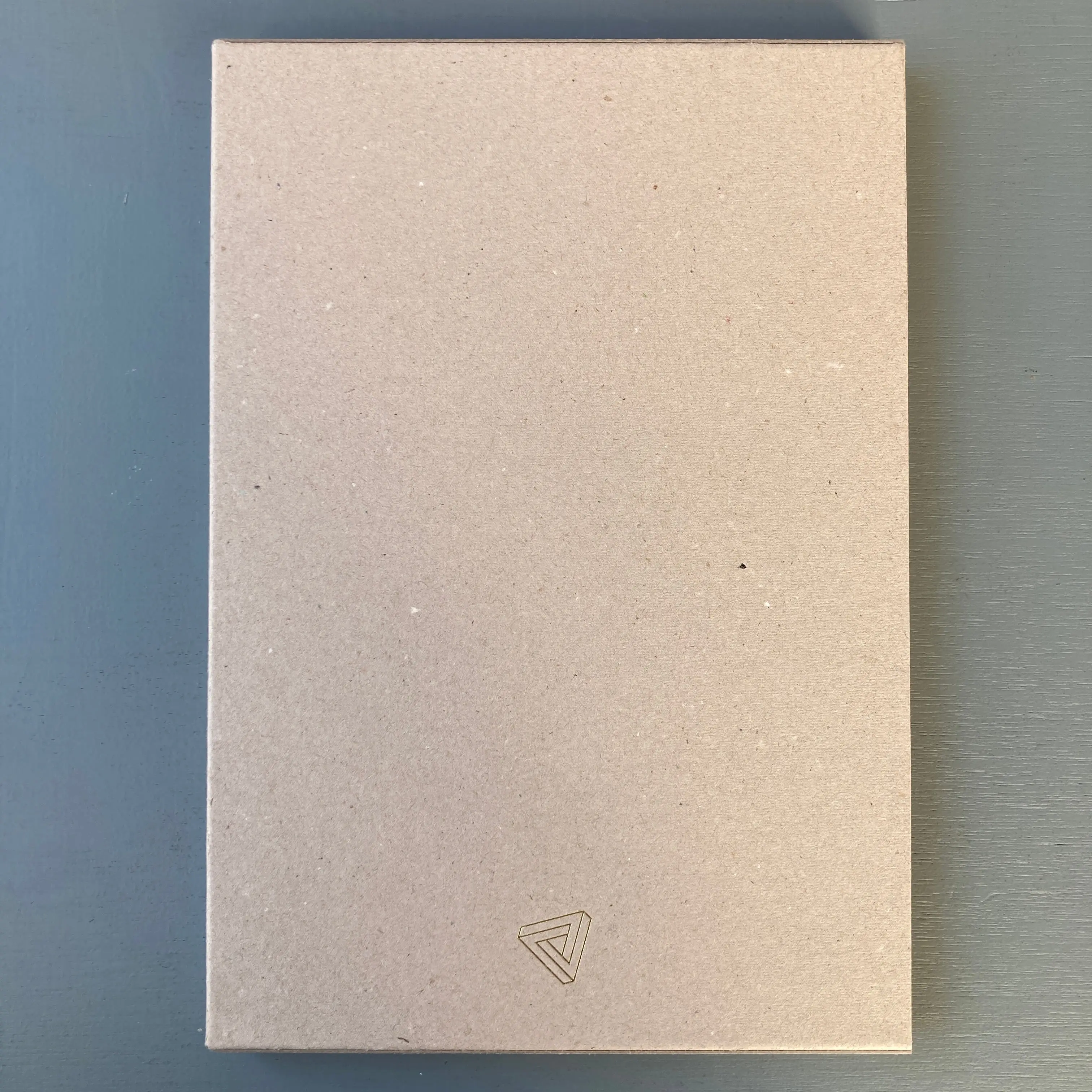 Koenraad Dedobbeleer - Wall - Triangle Books 2020 - Image 10