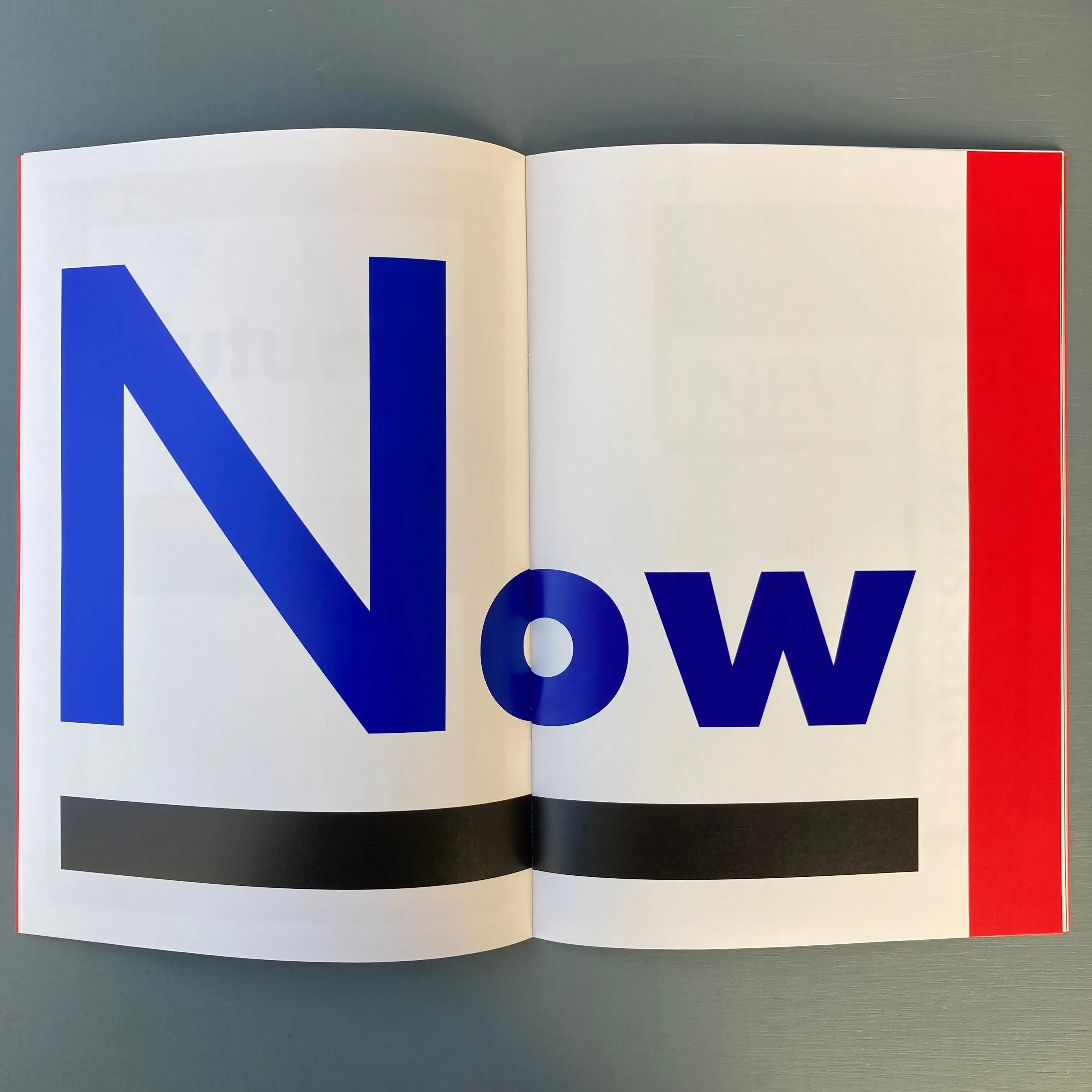 Koenraad Dedobbeleer - Wall - Triangle Books 2020 - Image 7