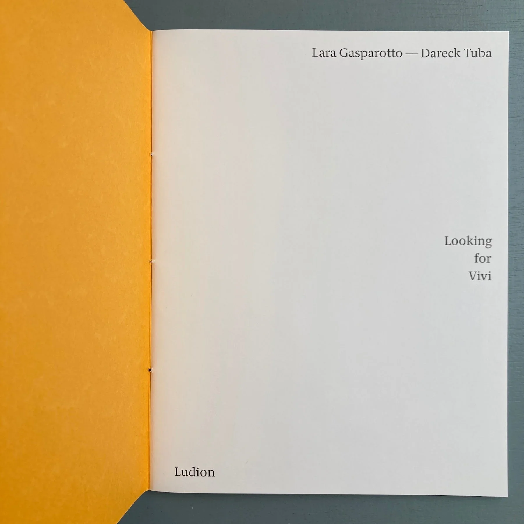 Lara Gasparotto & Dareck Tuba - Looking for Vivi - Ludion 2020 - Image 3