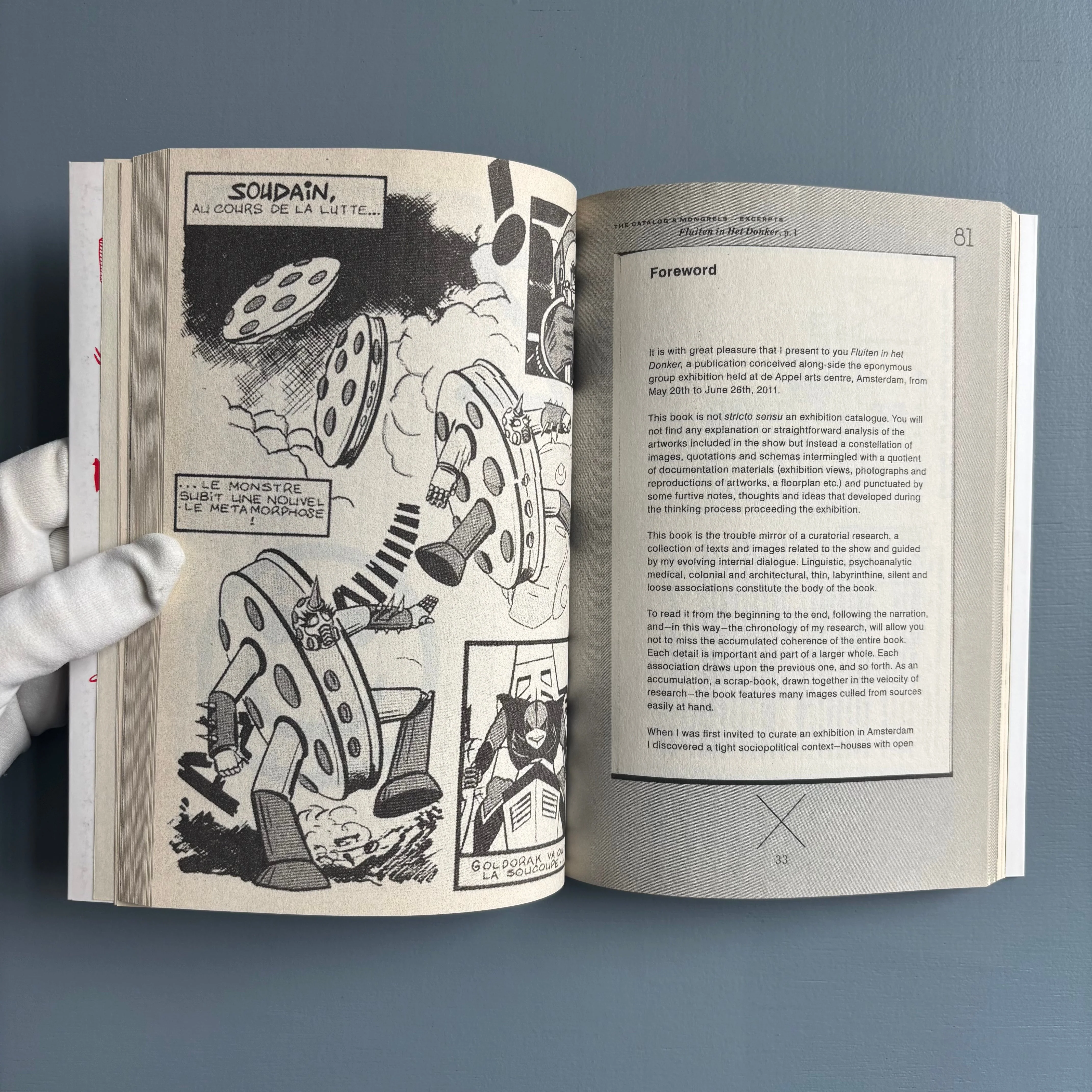 Le catalogue et ses hybrides / The catalog's mongrels - Charlotte Cheetham 2013 - Image 6