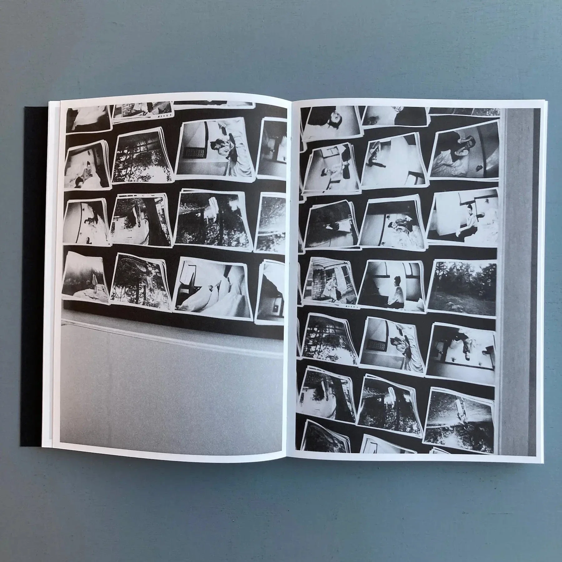 Leigh Ledare & Rhea Anastas - Double Bind - A.R.T. Press 2015 - Image 2