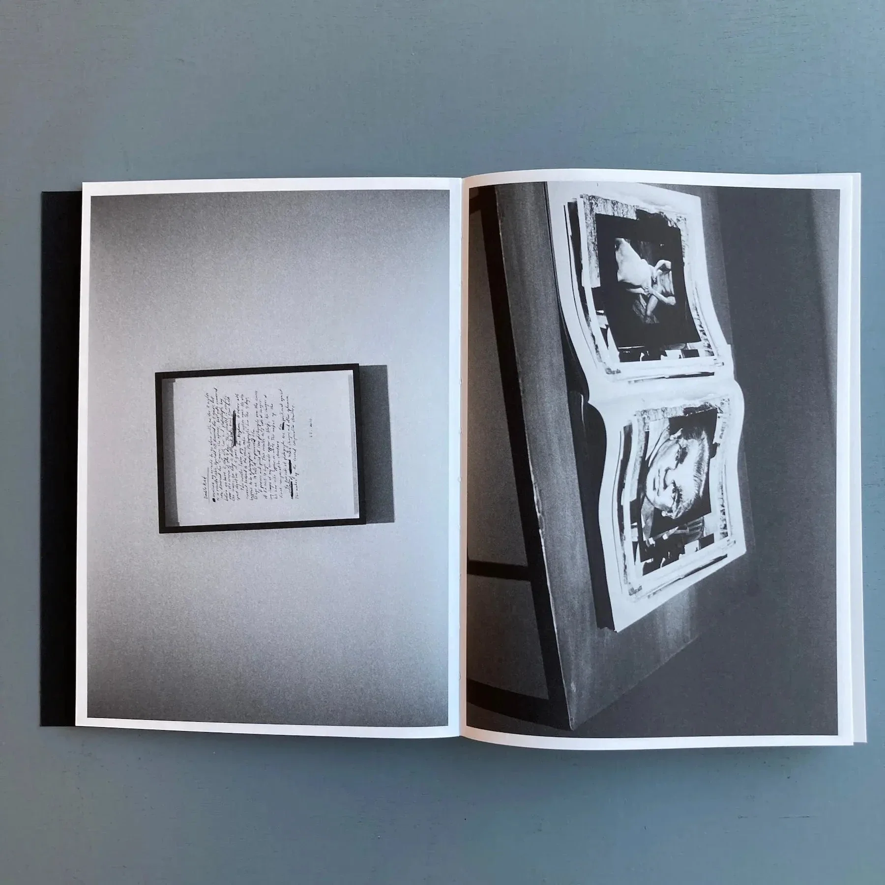 Leigh Ledare & Rhea Anastas - Double Bind - A.R.T. Press 2015 - Image 4