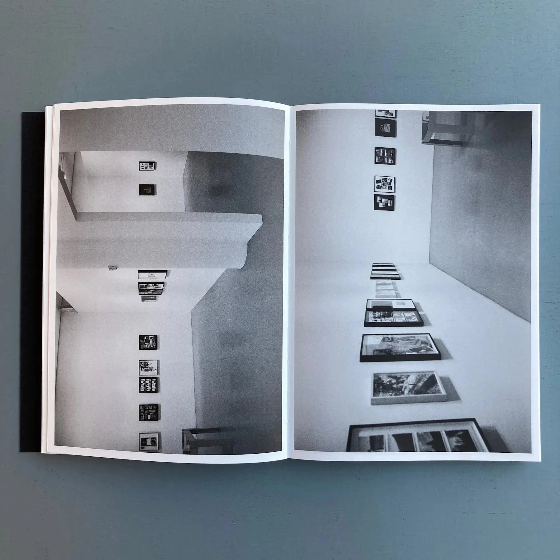 Leigh Ledare & Rhea Anastas - Double Bind - A.R.T. Press 2015 - Image 5