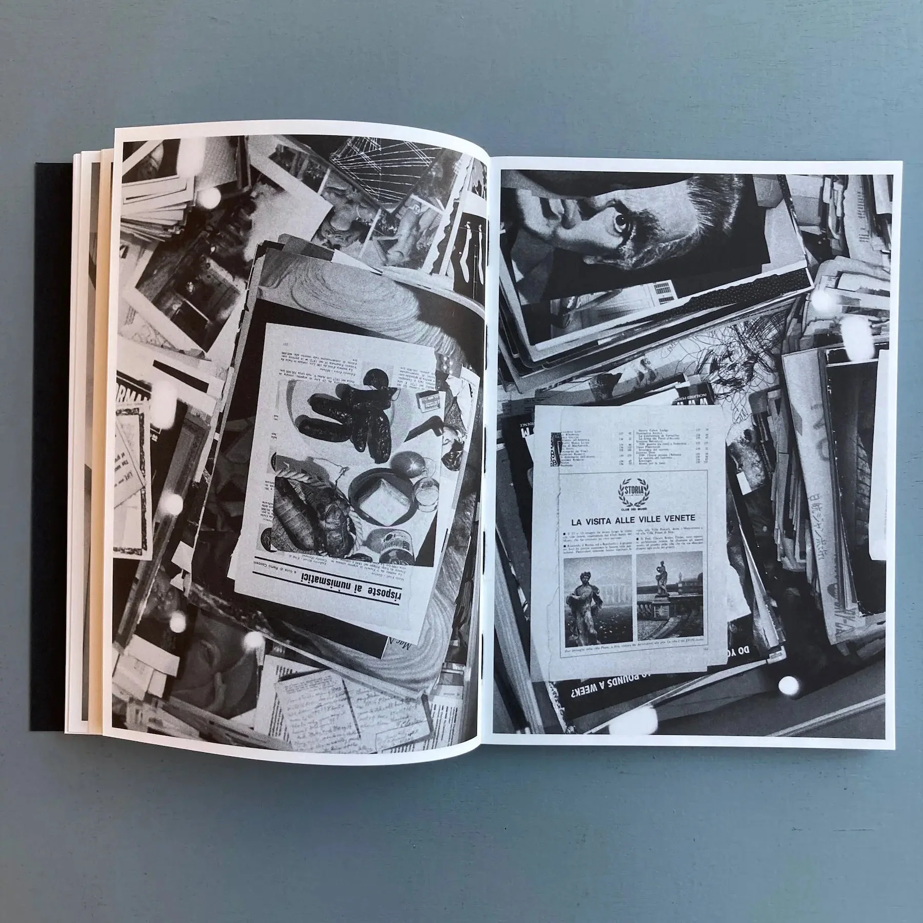 Leigh Ledare & Rhea Anastas - Double Bind - A.R.T. Press 2015 - Image 6