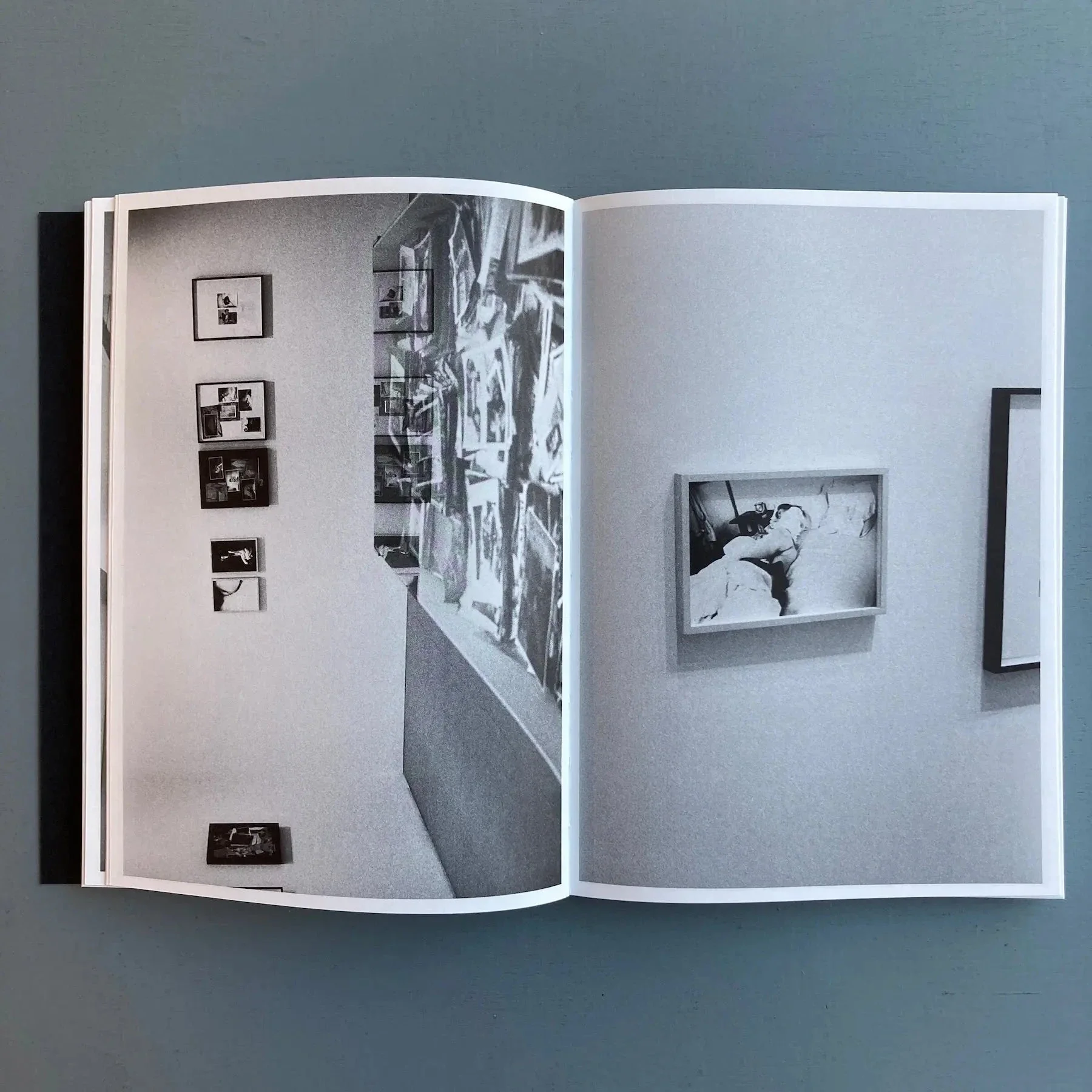 Leigh Ledare & Rhea Anastas - Double Bind - A.R.T. Press 2015 - Image 7