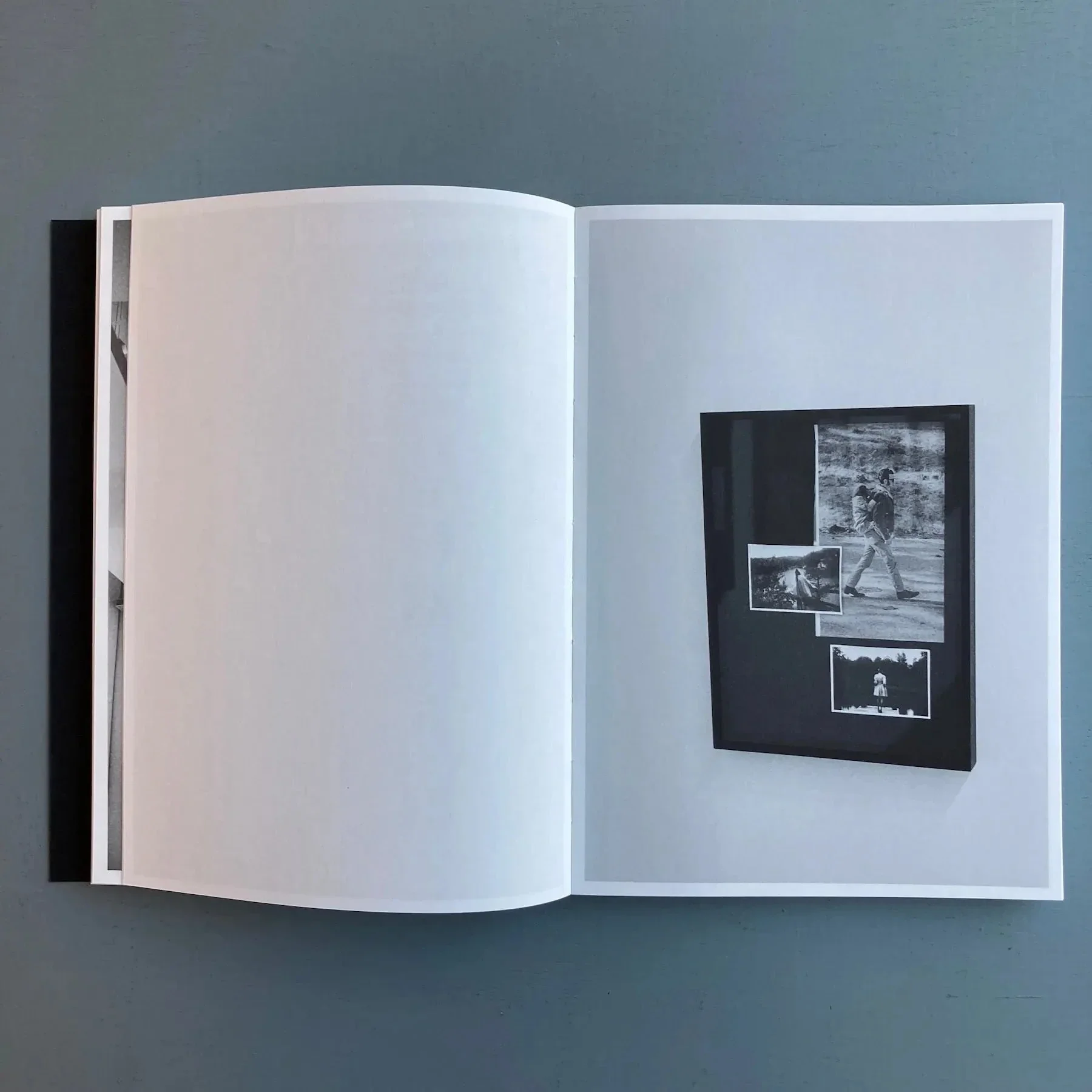 Leigh Ledare & Rhea Anastas - Double Bind - A.R.T. Press 2015 - Image 8