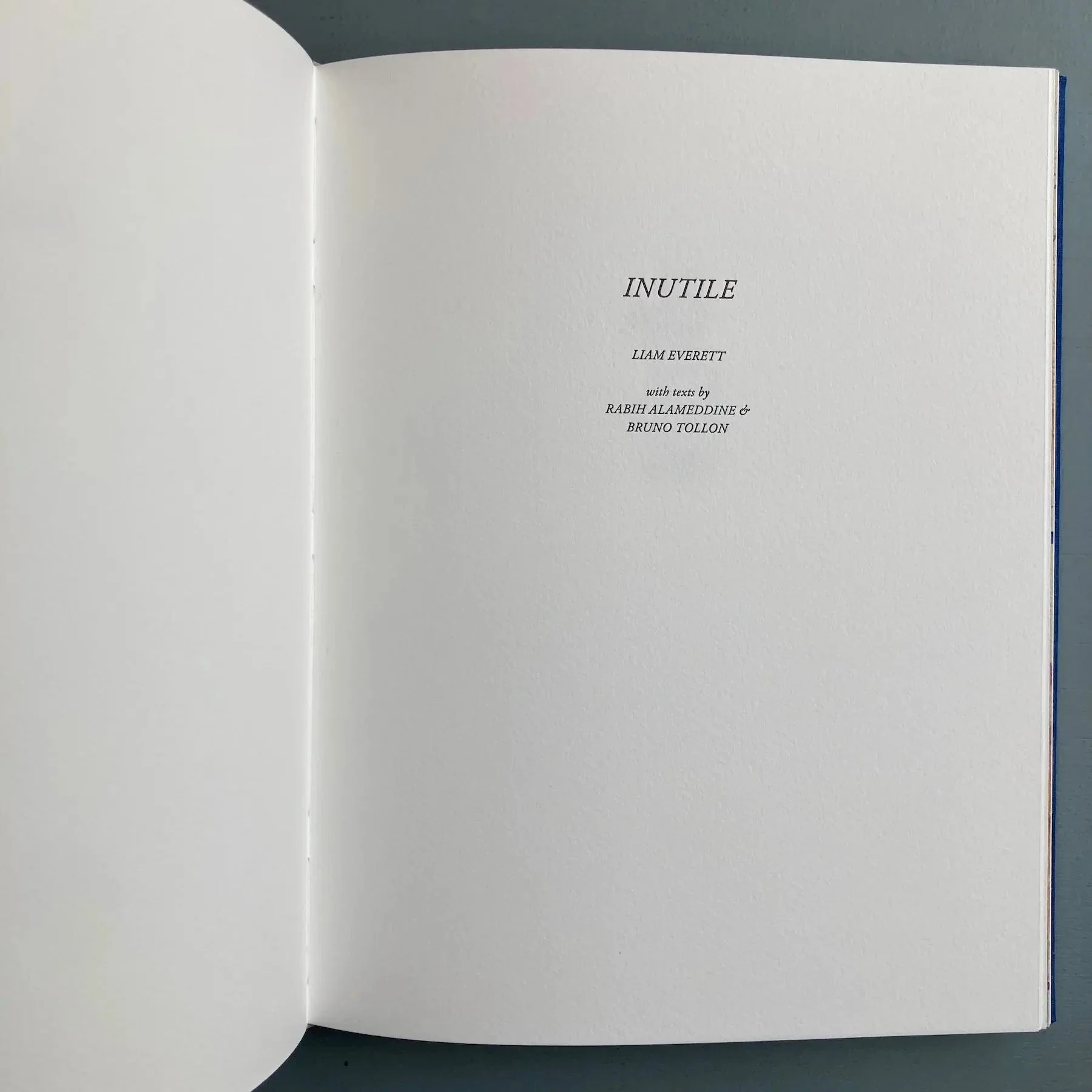 Liam Everett (signed) - Inutile - Altman Siegel 2015 - Image 6