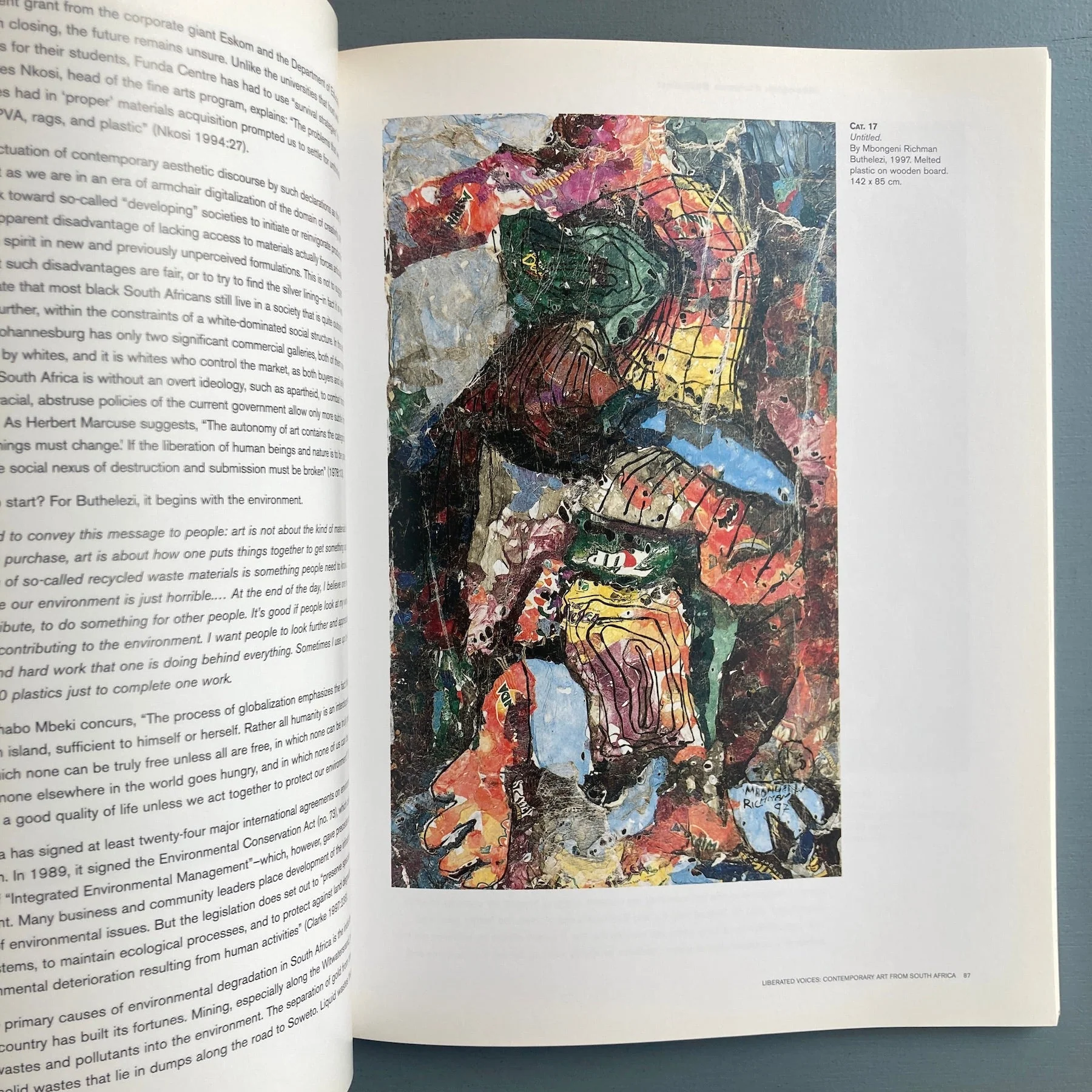 Liberated Voices: Contemporary Art from South Africa - Prestel 1999 - Image 7