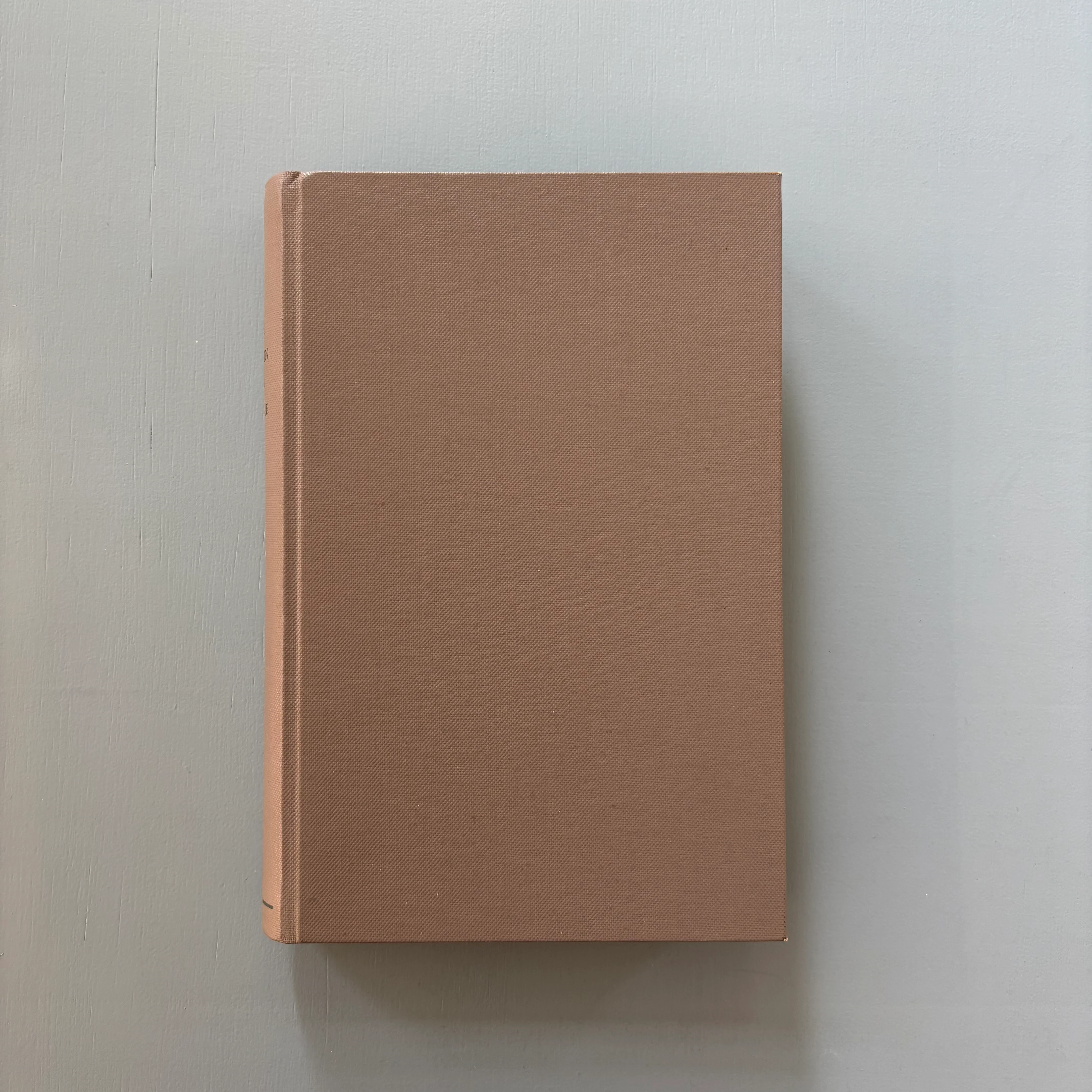 Lothar Baumgarten - Die Namen der Bäume: Hylaea - Van Abbemuseum 1982