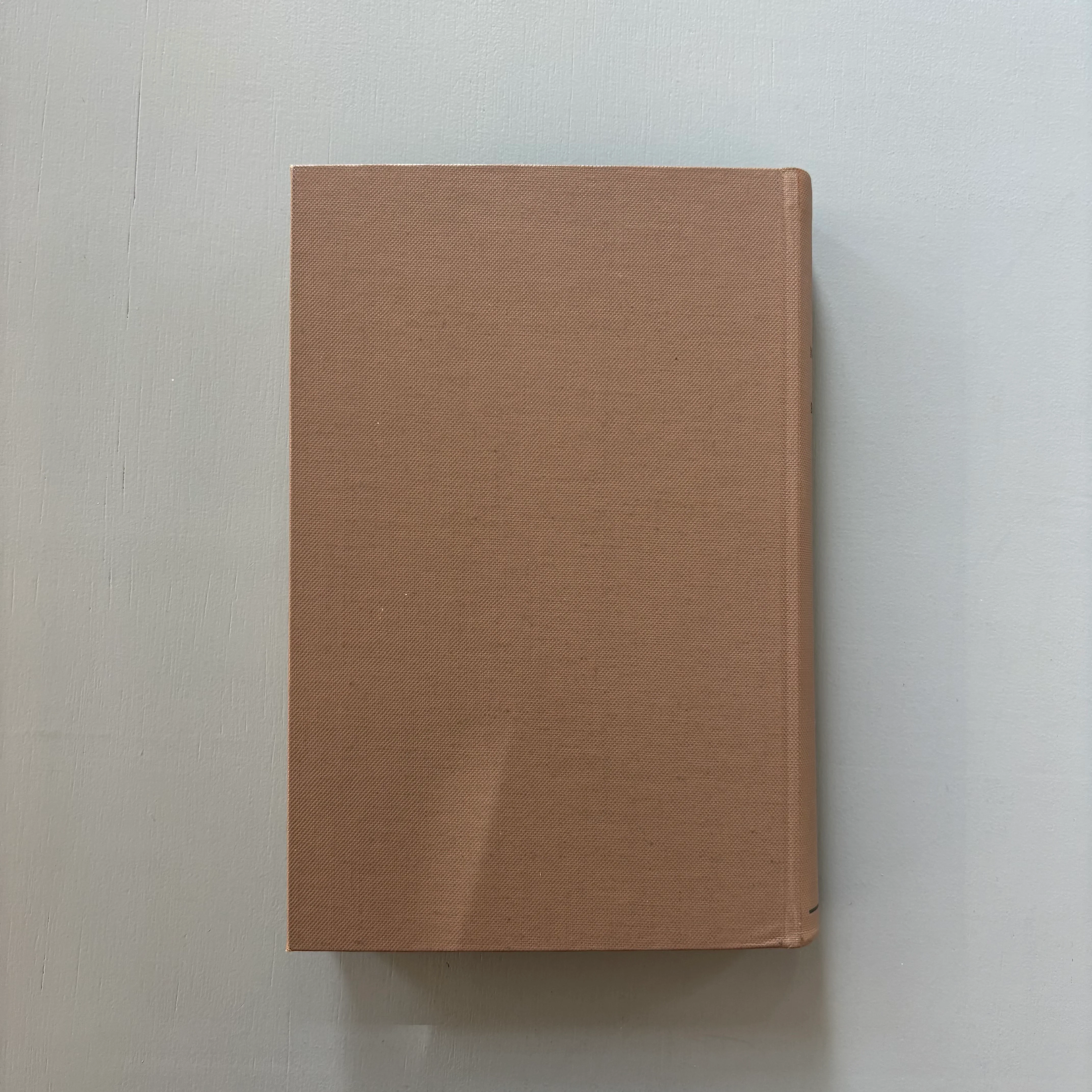 Lothar Baumgarten - Die Namen der Bäume: Hylaea - Van Abbemuseum 1982 - Image 11