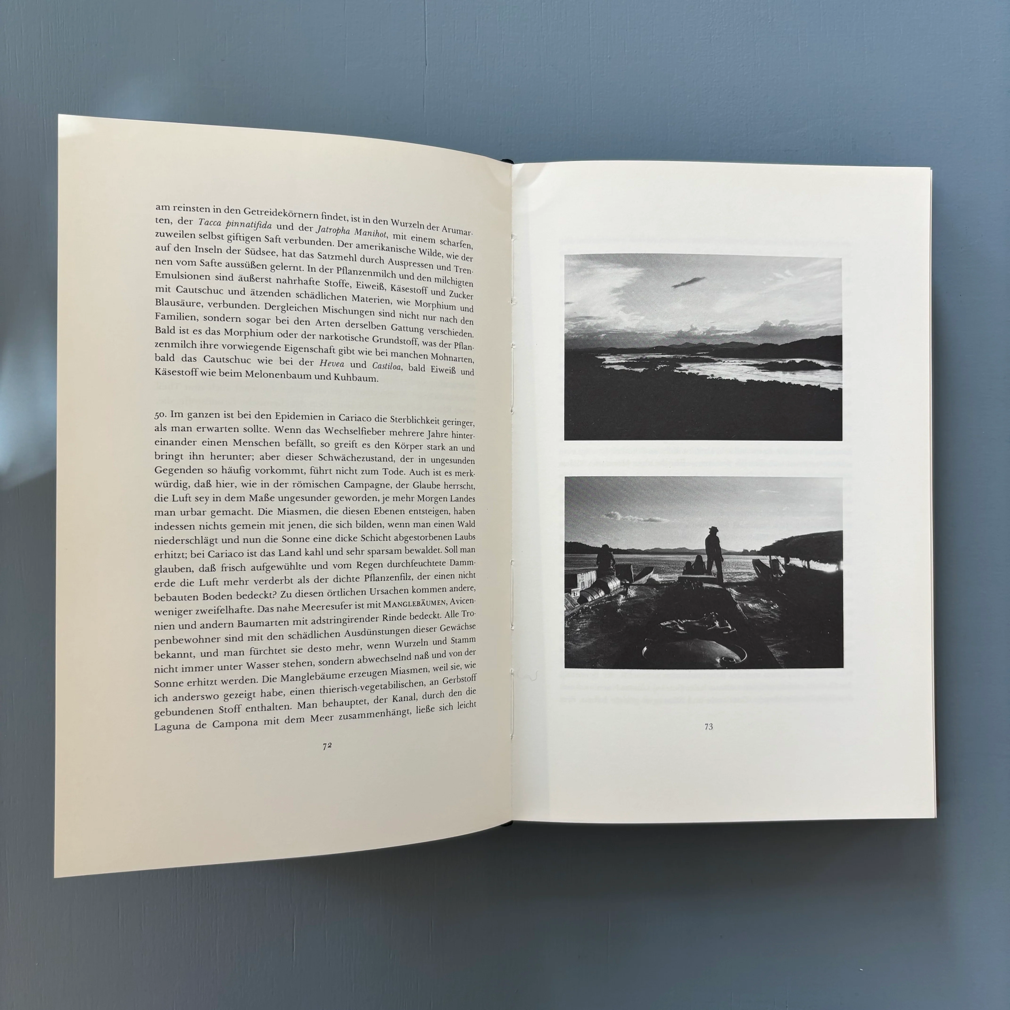 Lothar Baumgarten - Die Namen der Bäume: Hylaea - Van Abbemuseum 1982 - Image 4
