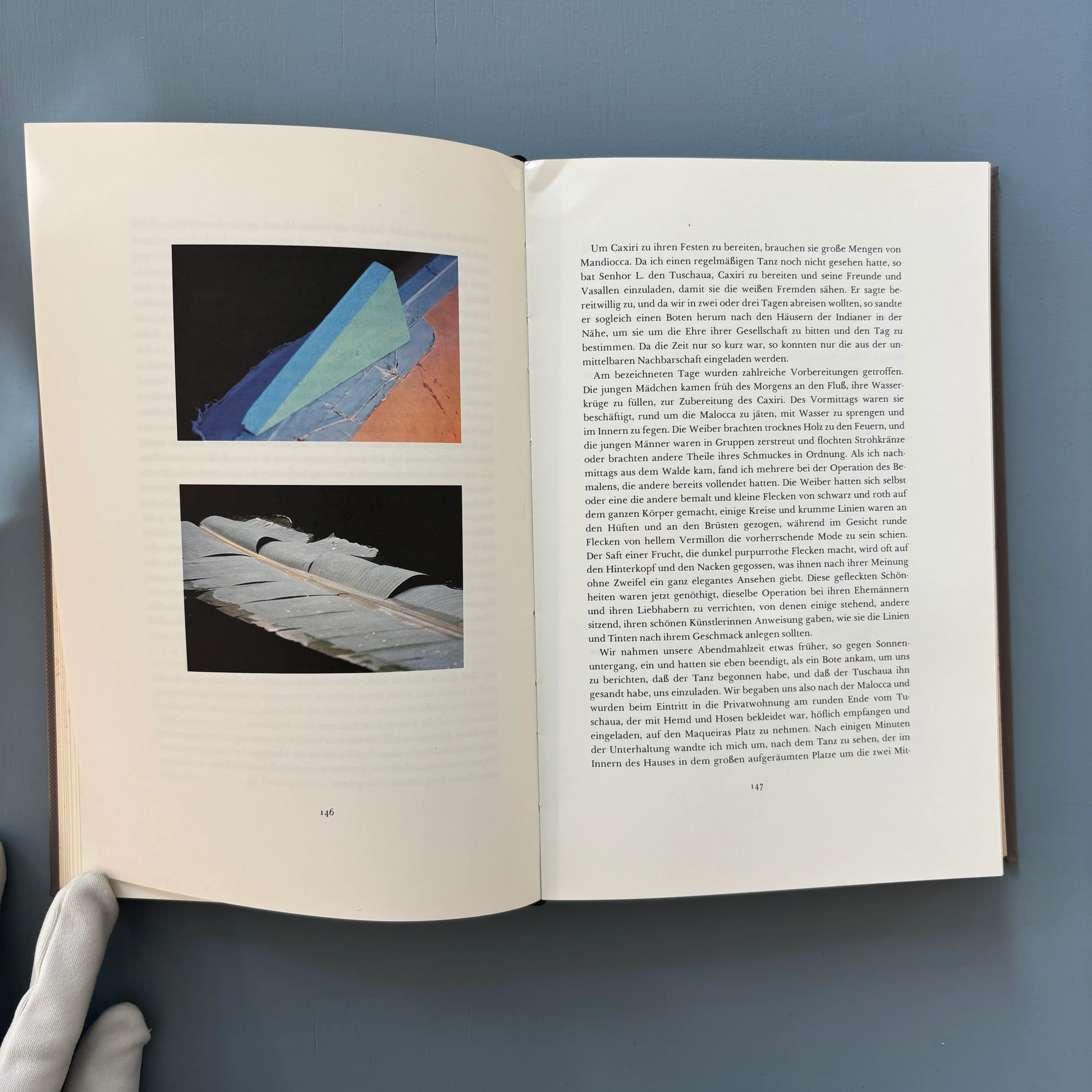 Lothar Baumgarten - Die Namen der Bäume: Hylaea - Van Abbemuseum 1982 - Image 5