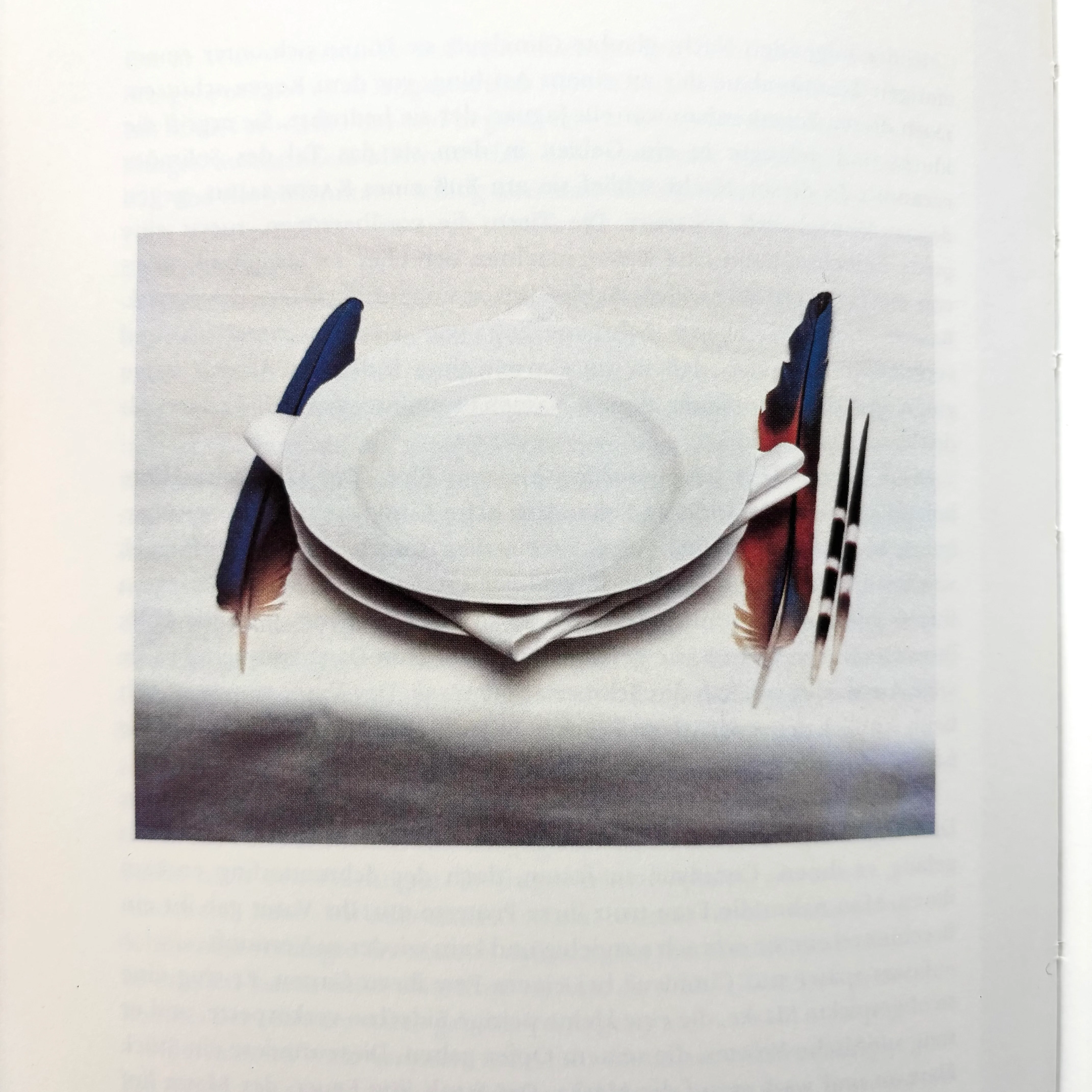 Lothar Baumgarten - Die Namen der Bäume: Hylaea - Van Abbemuseum 1982 - Image 8