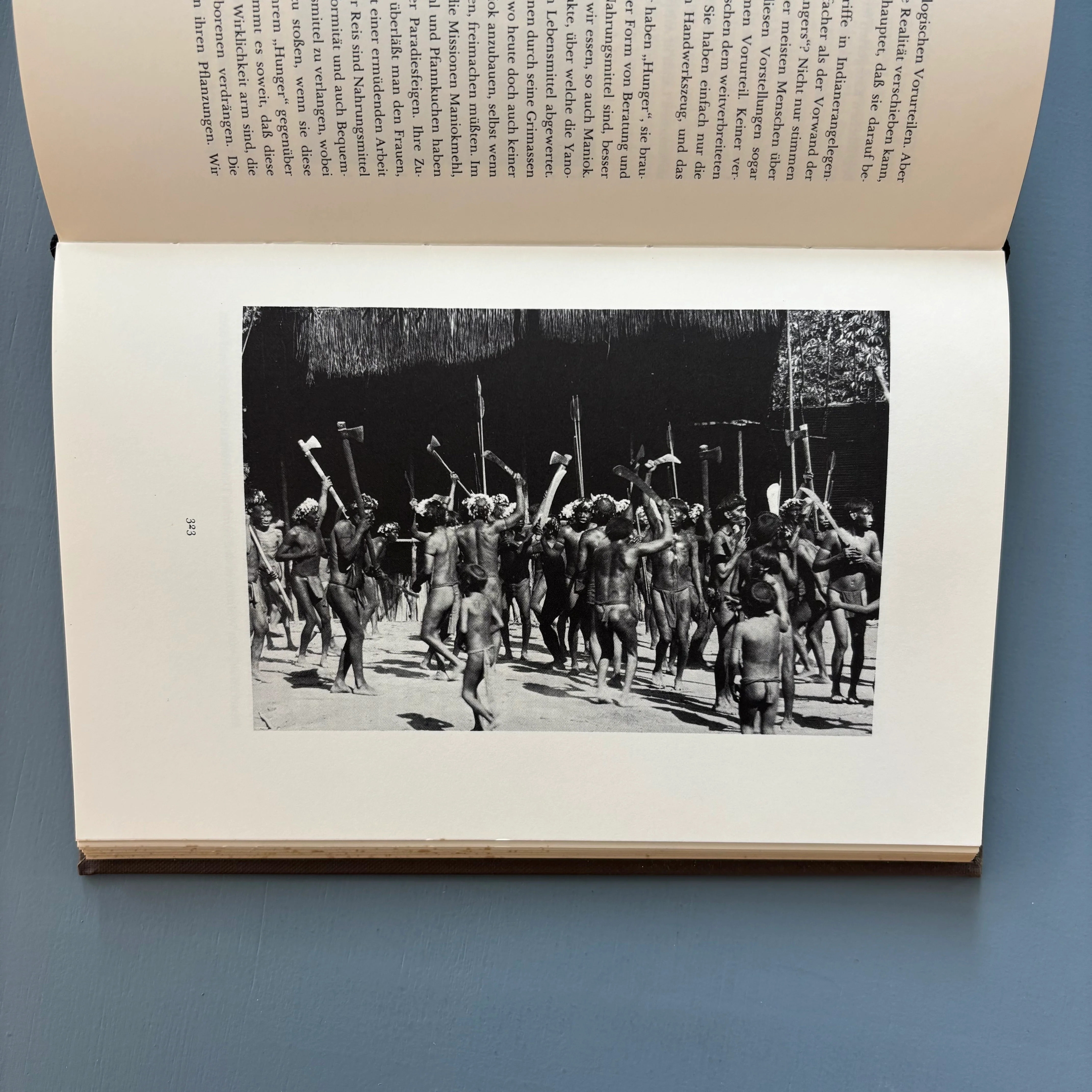 Lothar Baumgarten - Die Namen der Bäume: Hylaea - Van Abbemuseum 1982 - Image 9