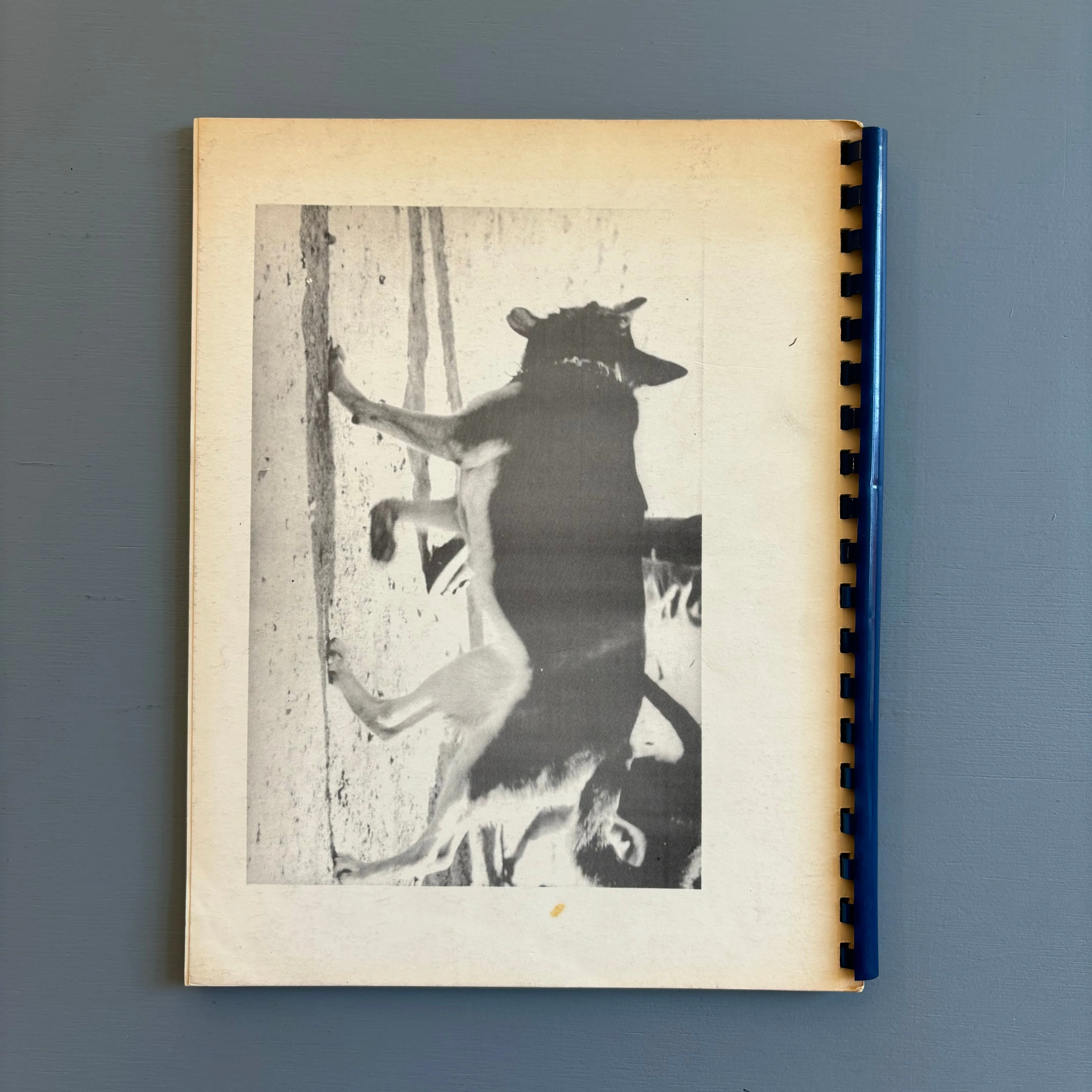 Lucio Pozzi - Works and ideas 1960 1977 - Dartmouth College 1977 - Image 9